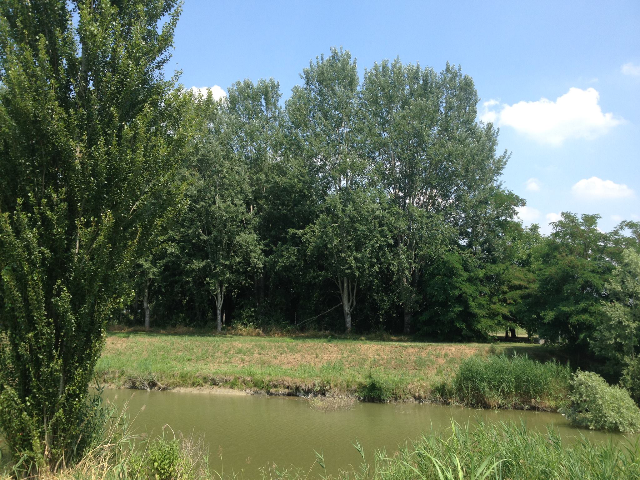 The place of anglers in Baura in the province of Ferrara