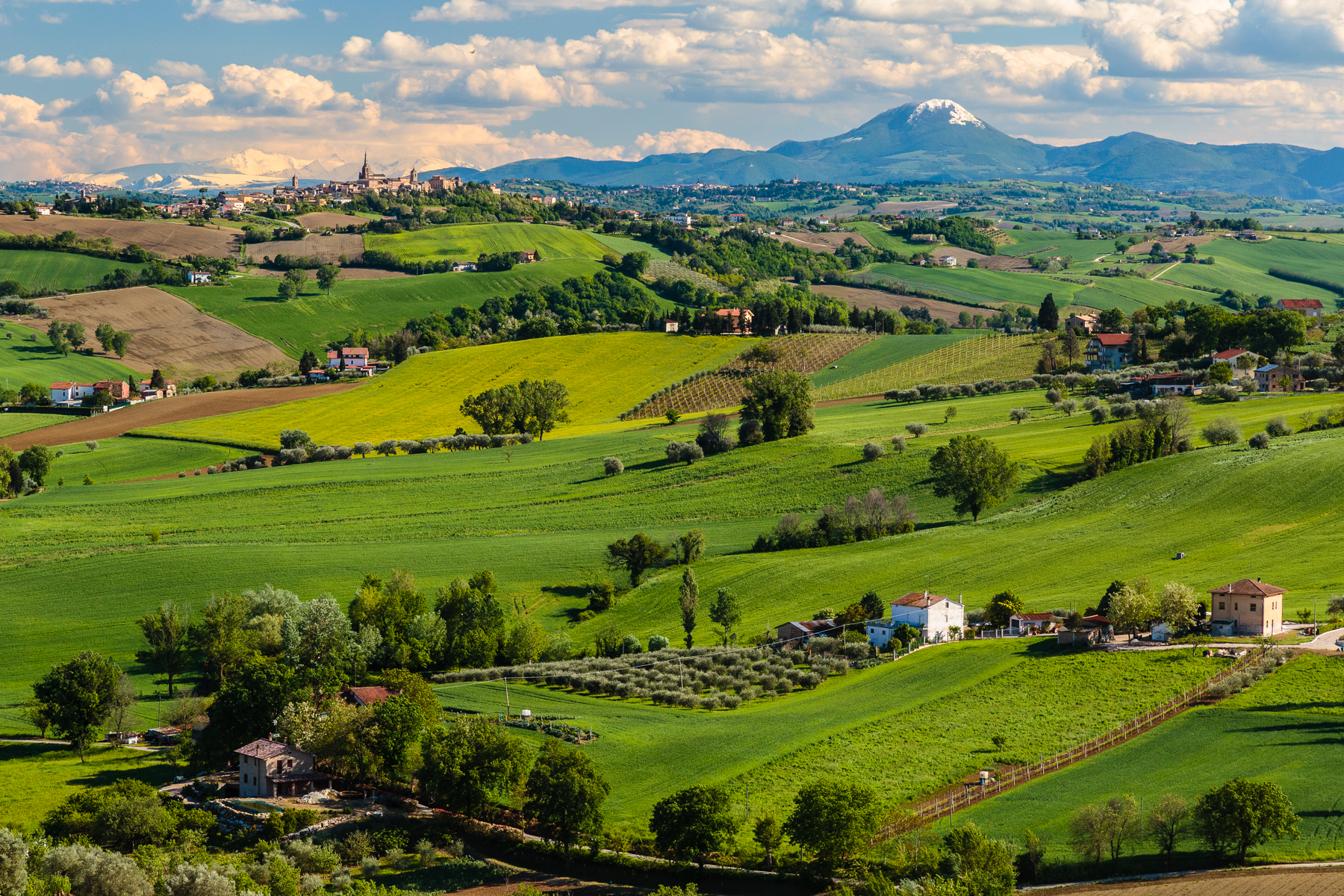 Colline marchigiane e monte Catria