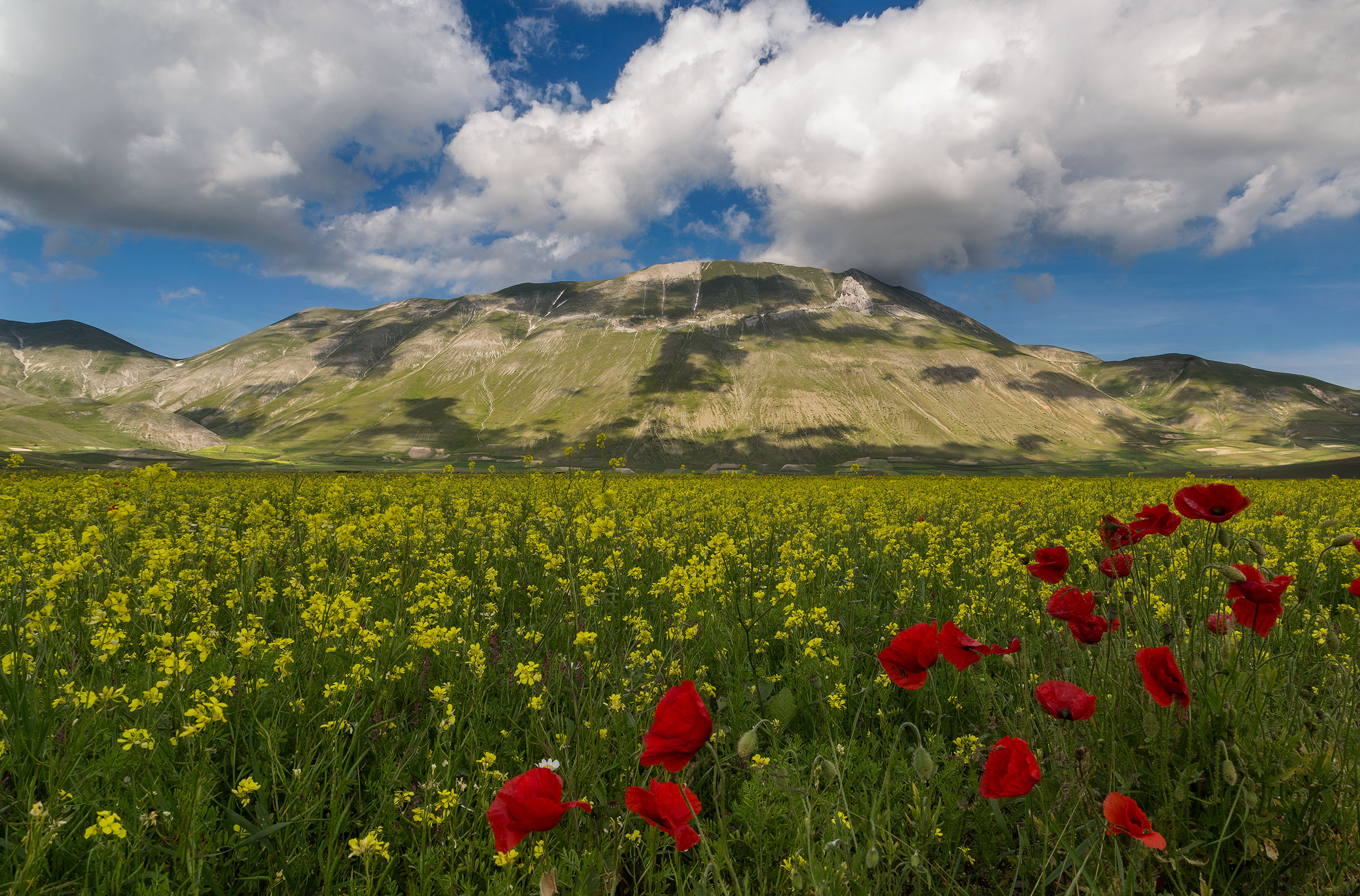 Castelluccio