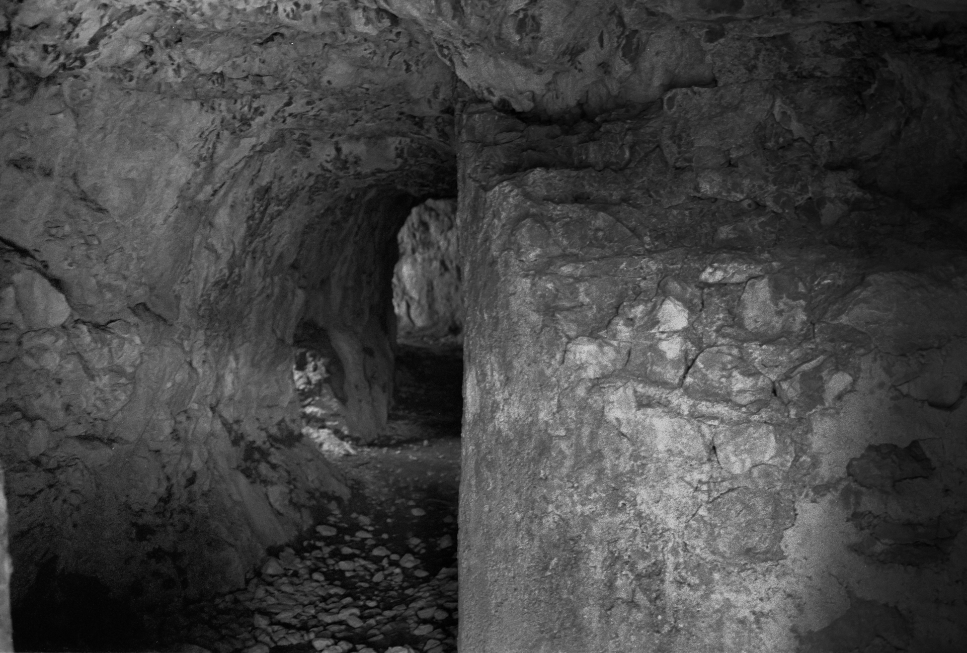 Qui è dove abbiamo combattuto