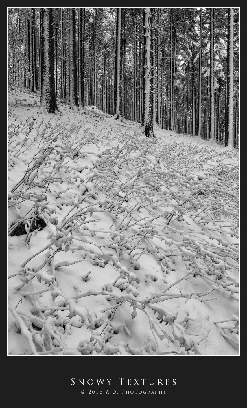 Snowy Textures