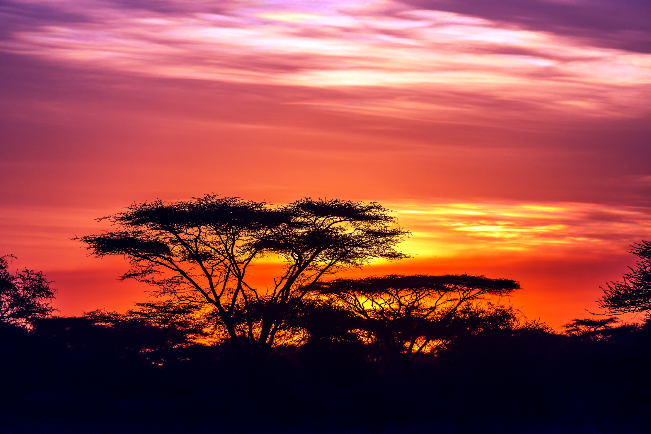 Tanzania 2016 - Tramonto