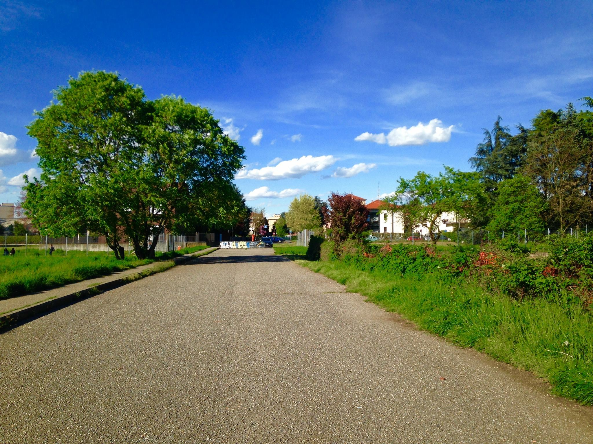 The campaign in the city