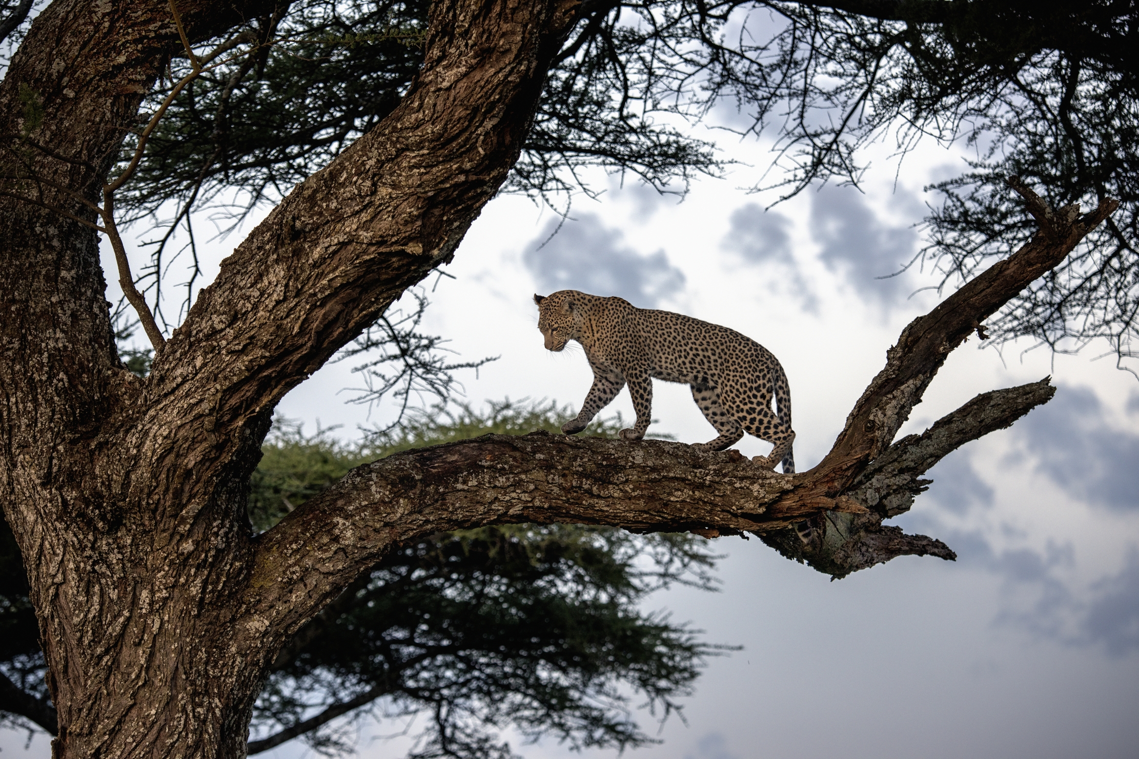 Tanzania 2016 - Sul far della sera