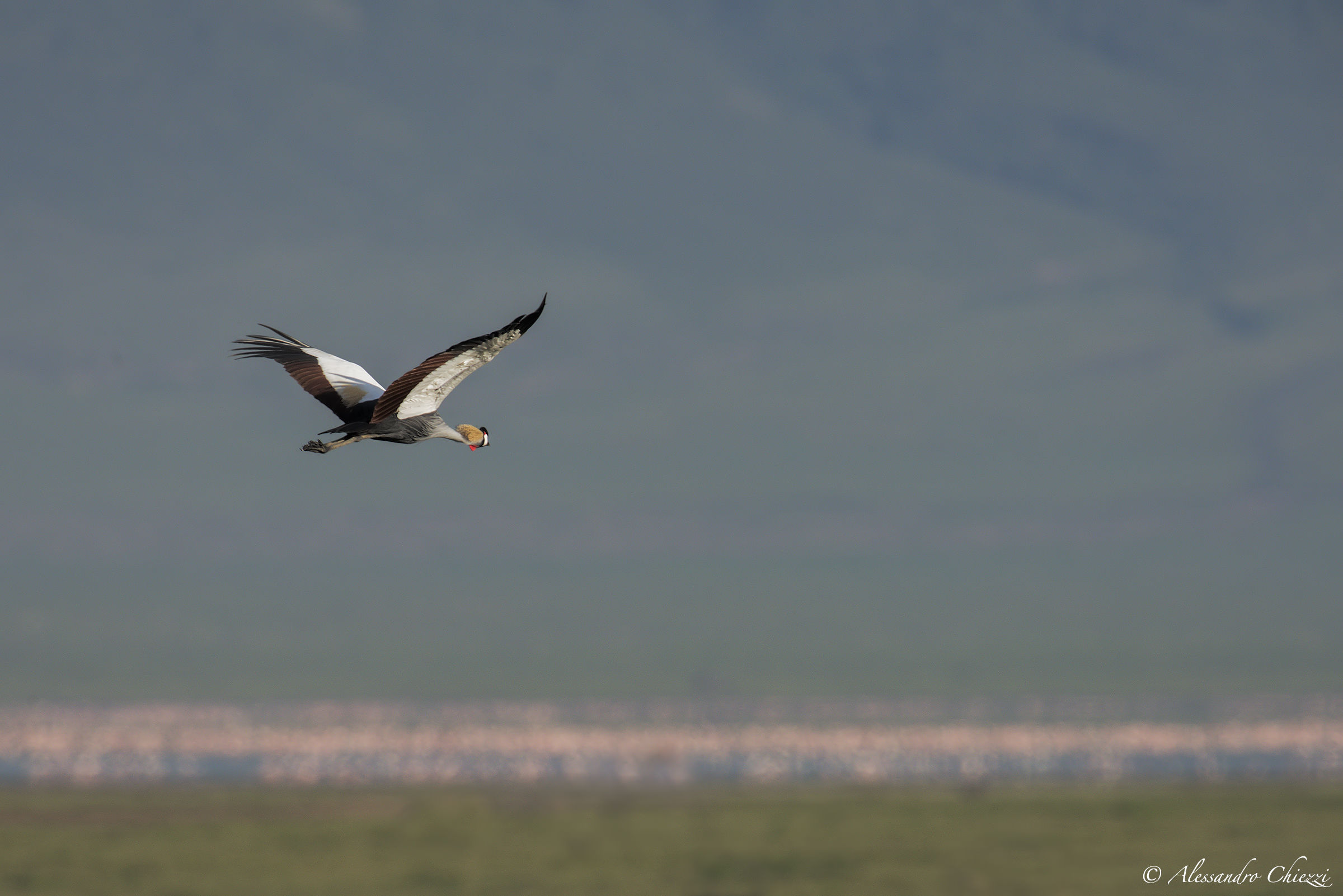 Flight in the crater