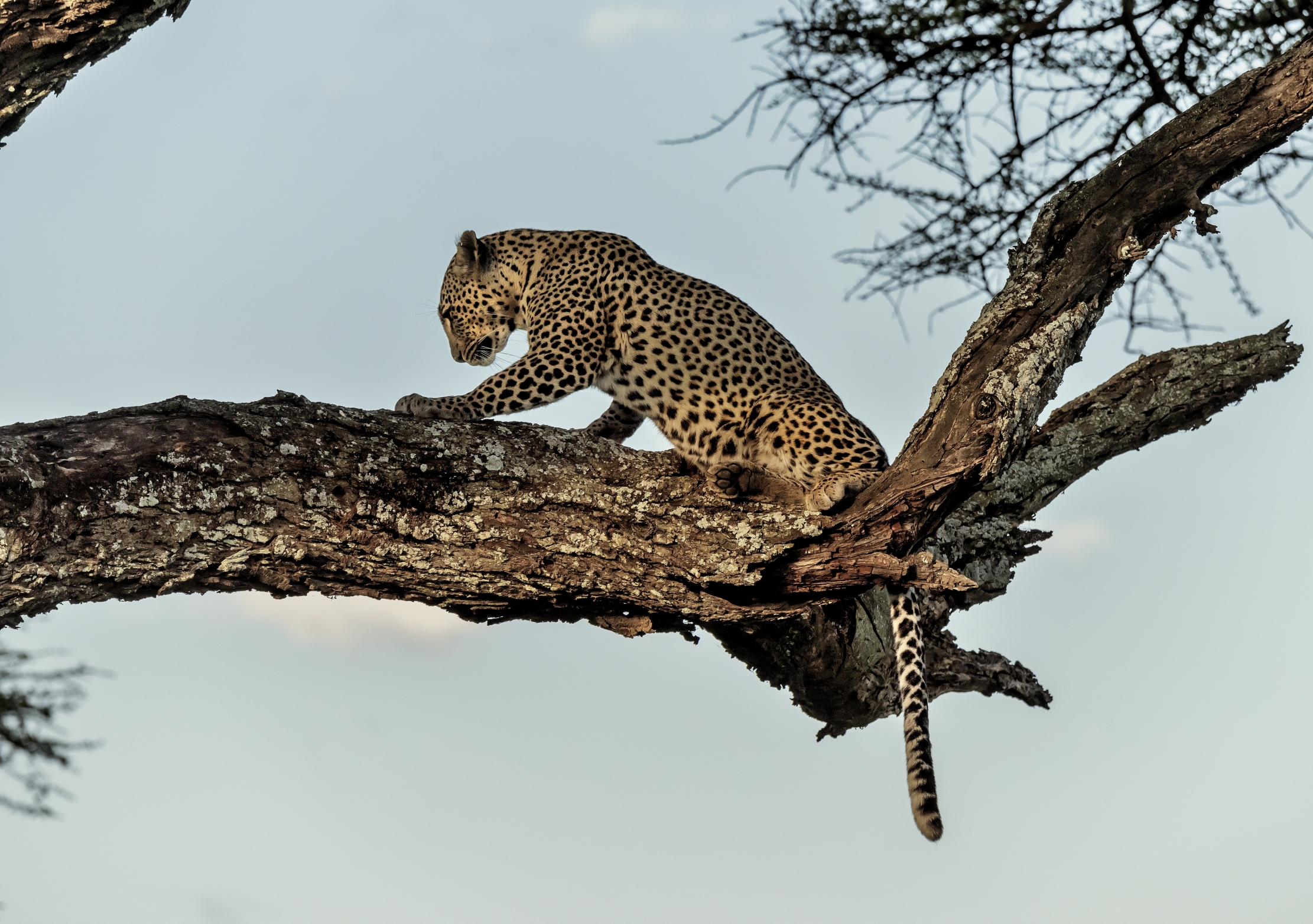 Tanzania 2016 - Sul far della sera