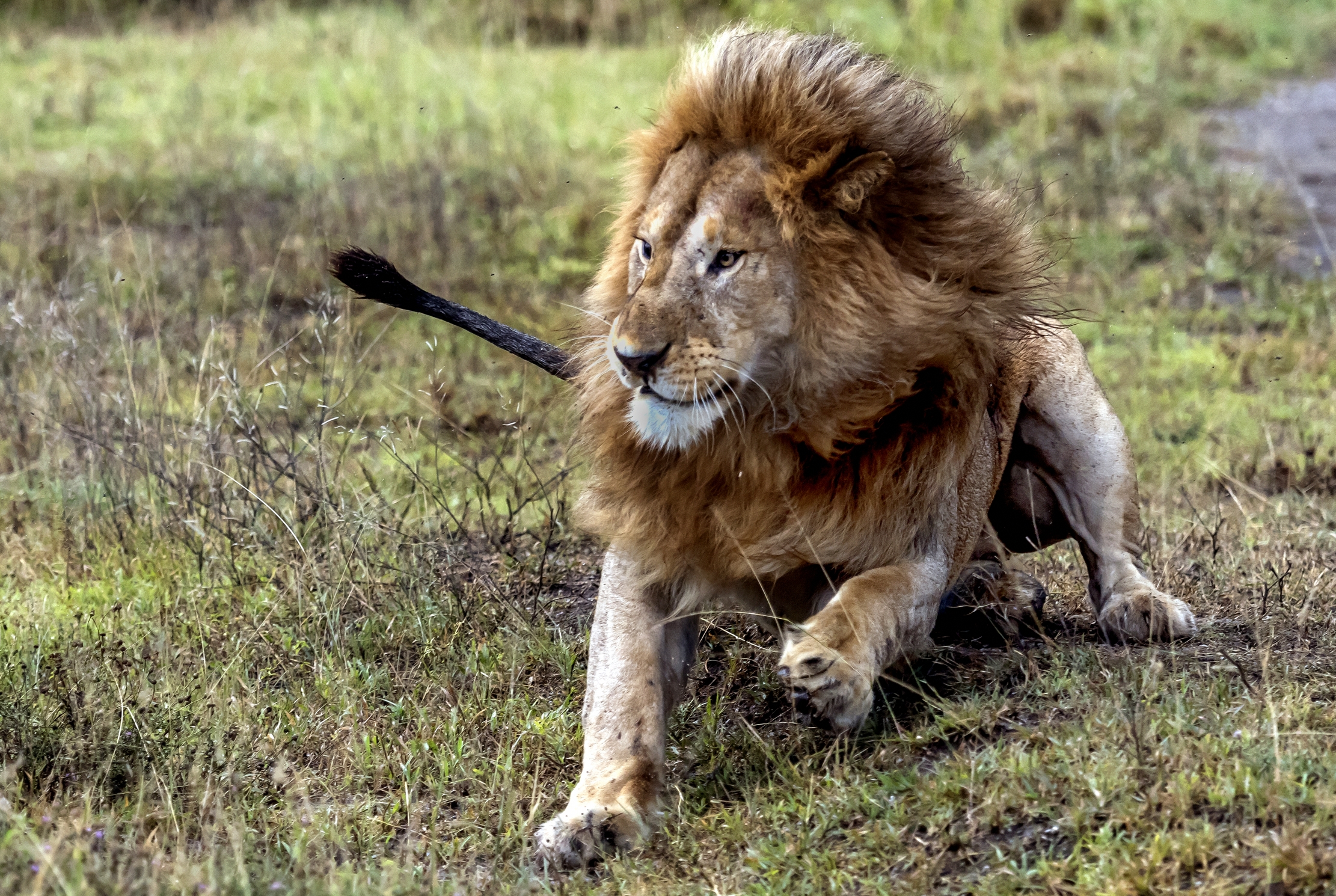 Tanzania 2016 - Scatti