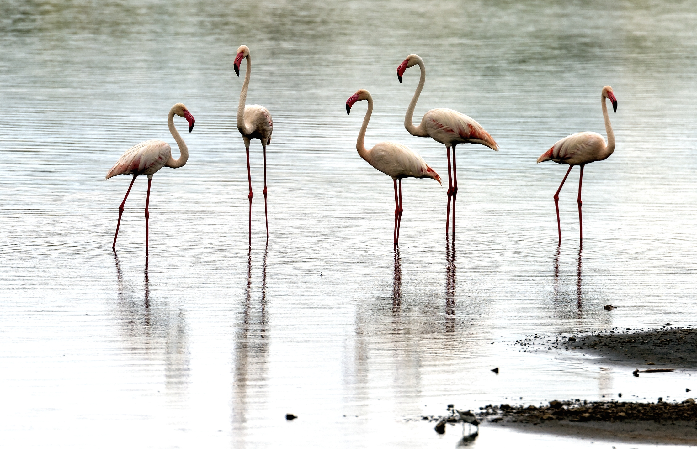 Tanzania 2016 - Nel lago Masek