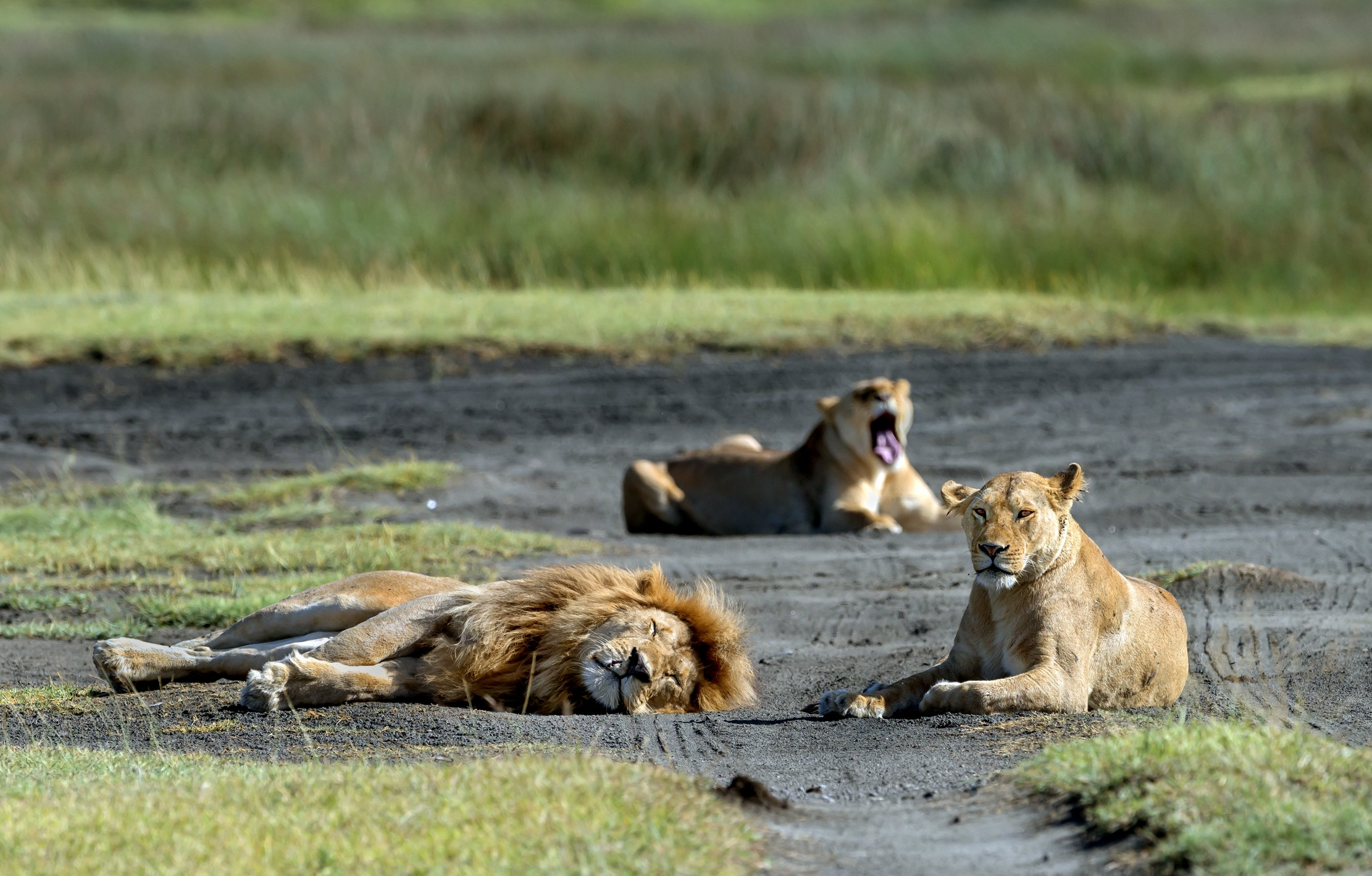 Tanzania 2016 - Terzetto