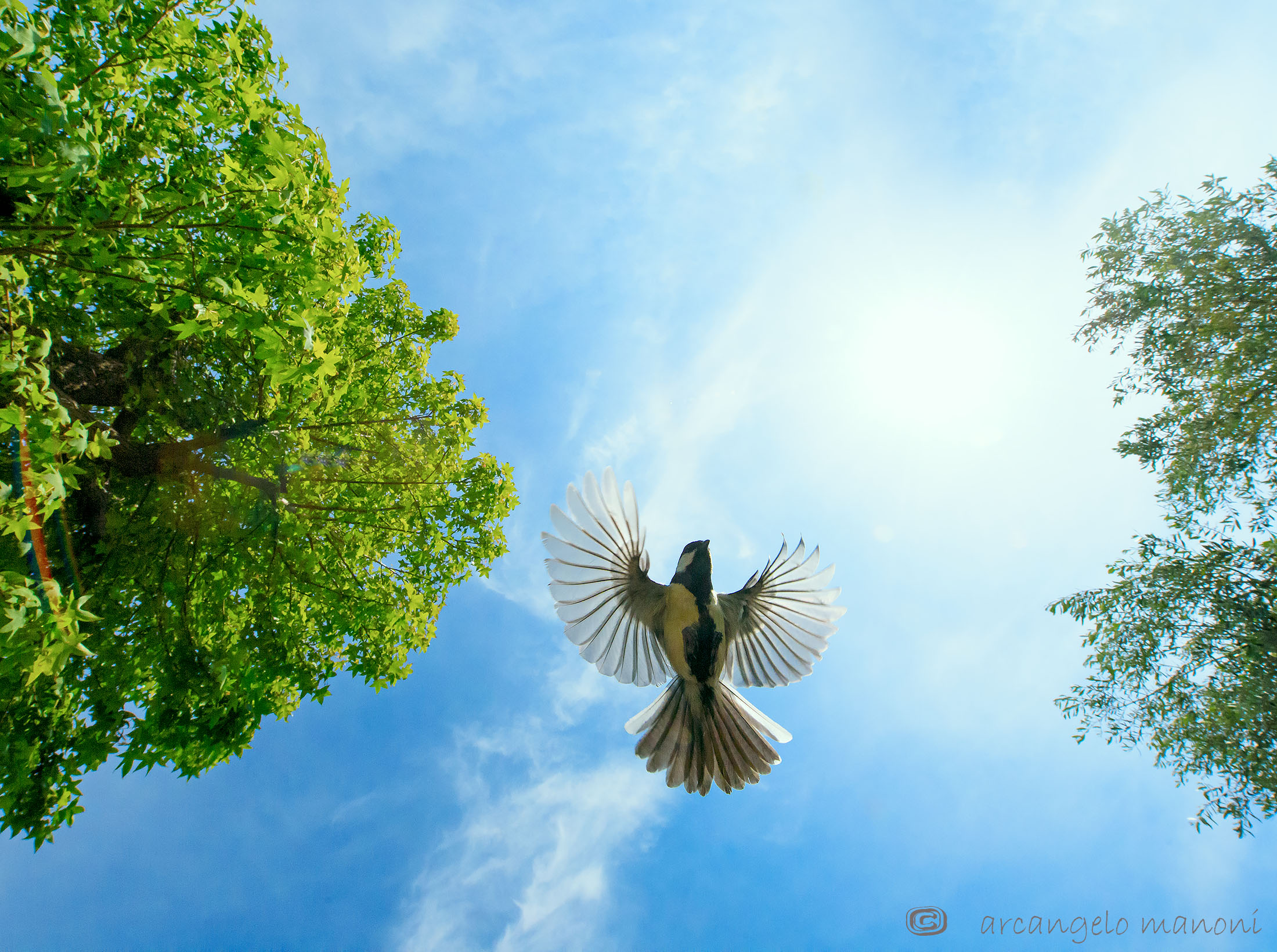 Puo capitare quando si osserva il cielo