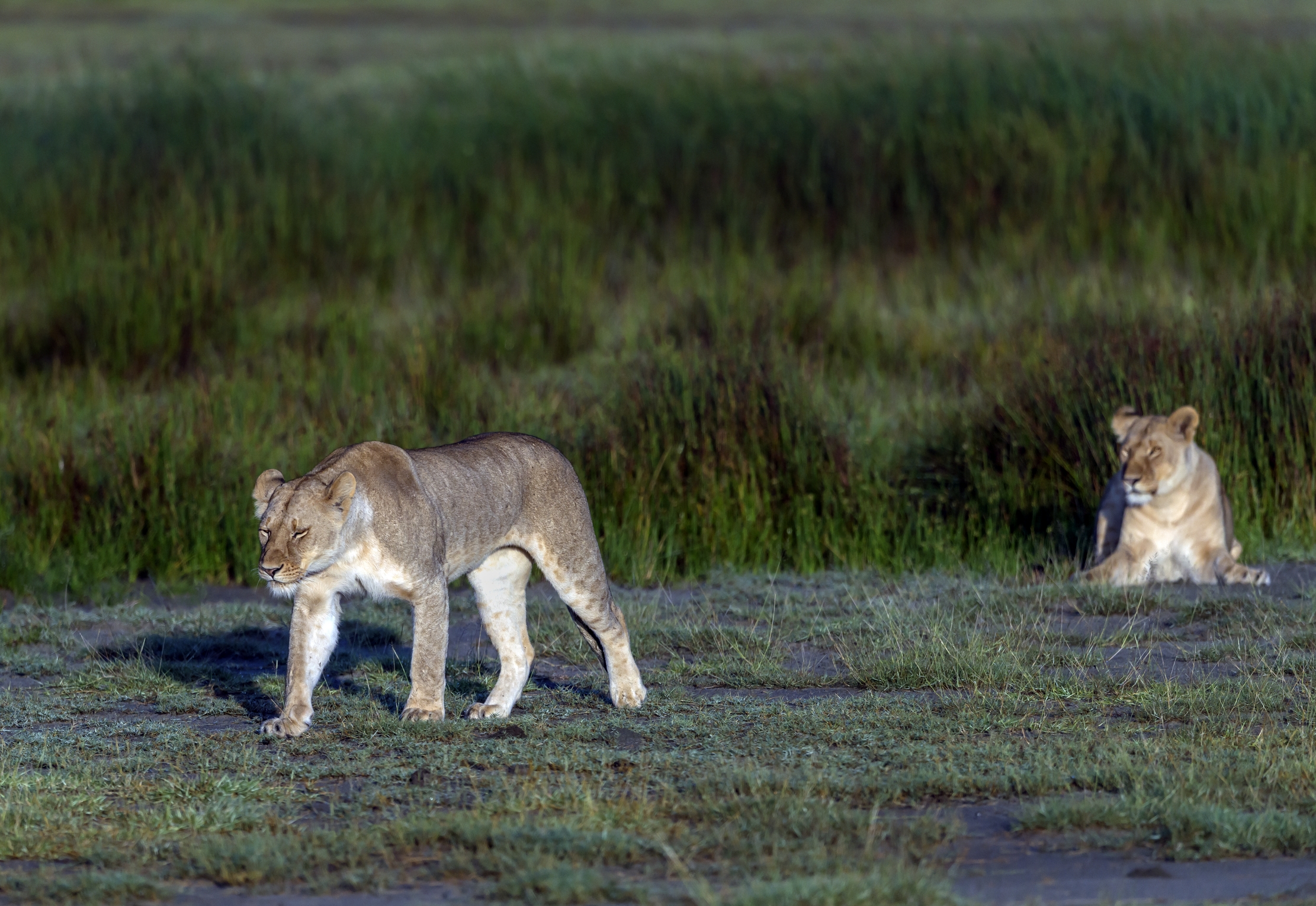 Tanzania 2016 - Pause