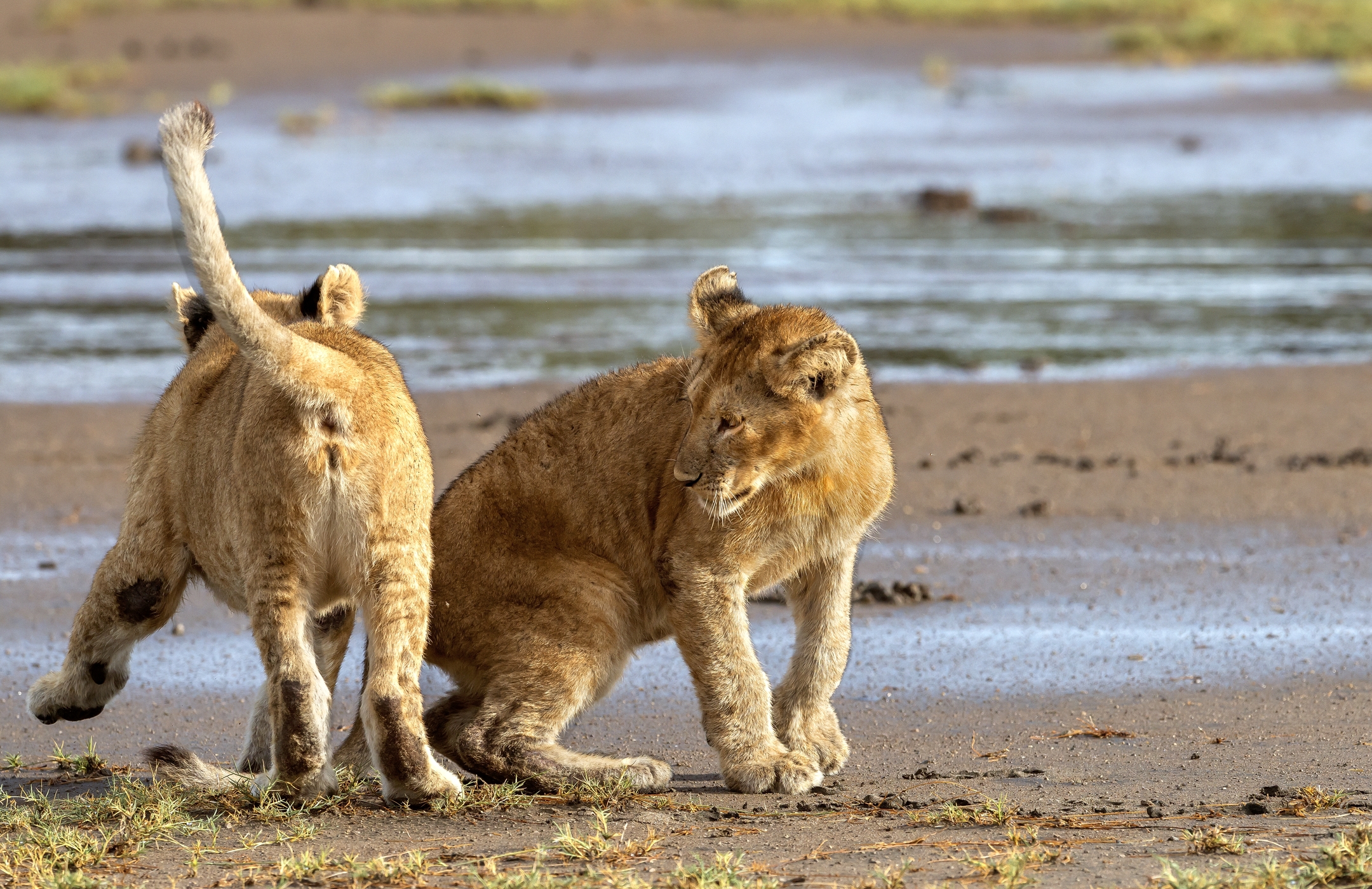 Tanzania 2016 - Giochi