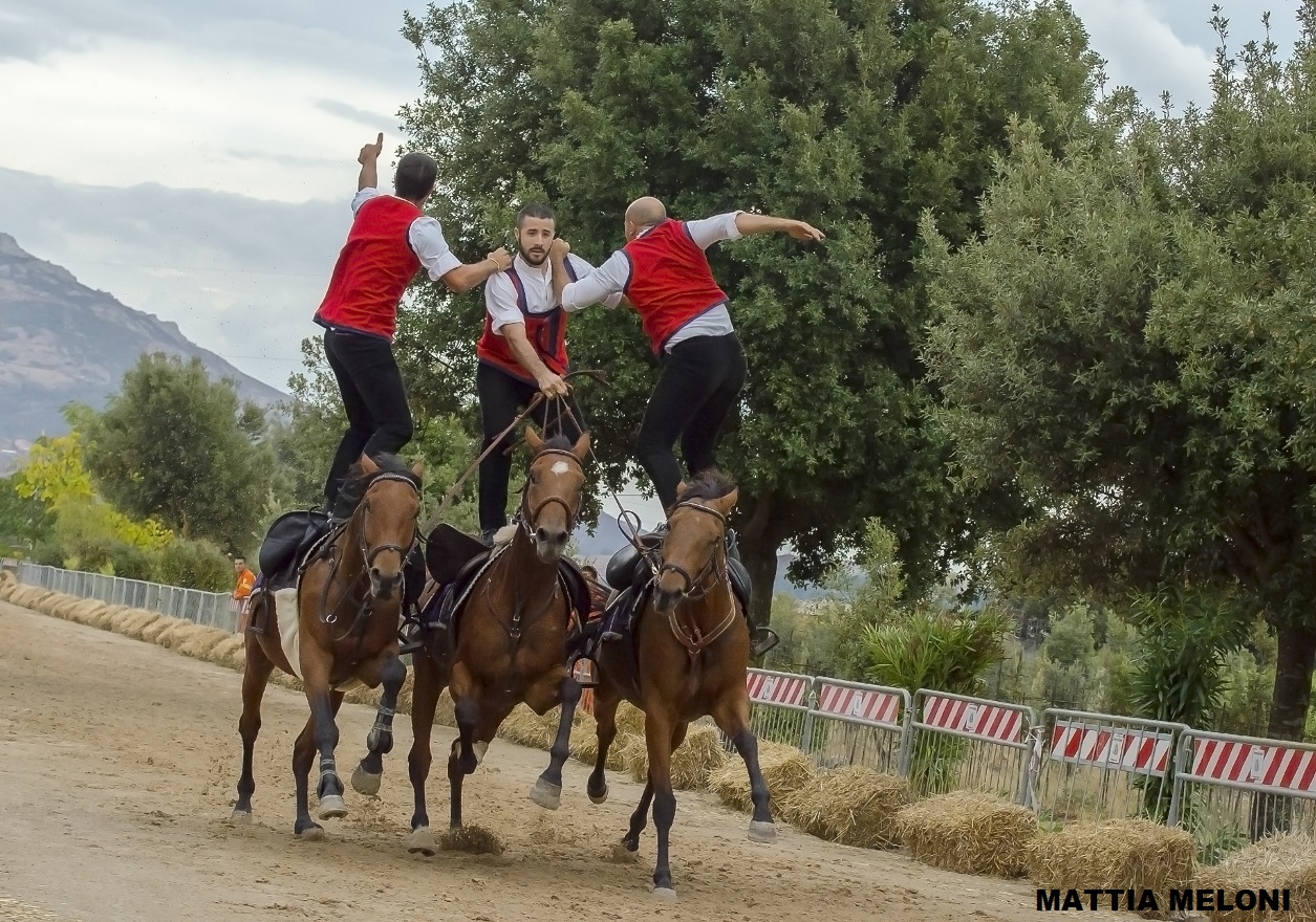 Pariglie a cavallo Sadali (Sardegna)