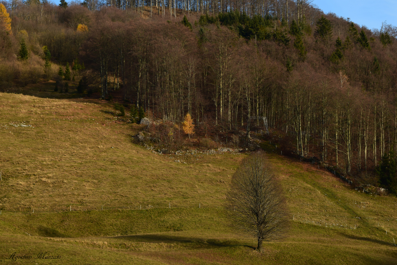 Sunset light in Lokve