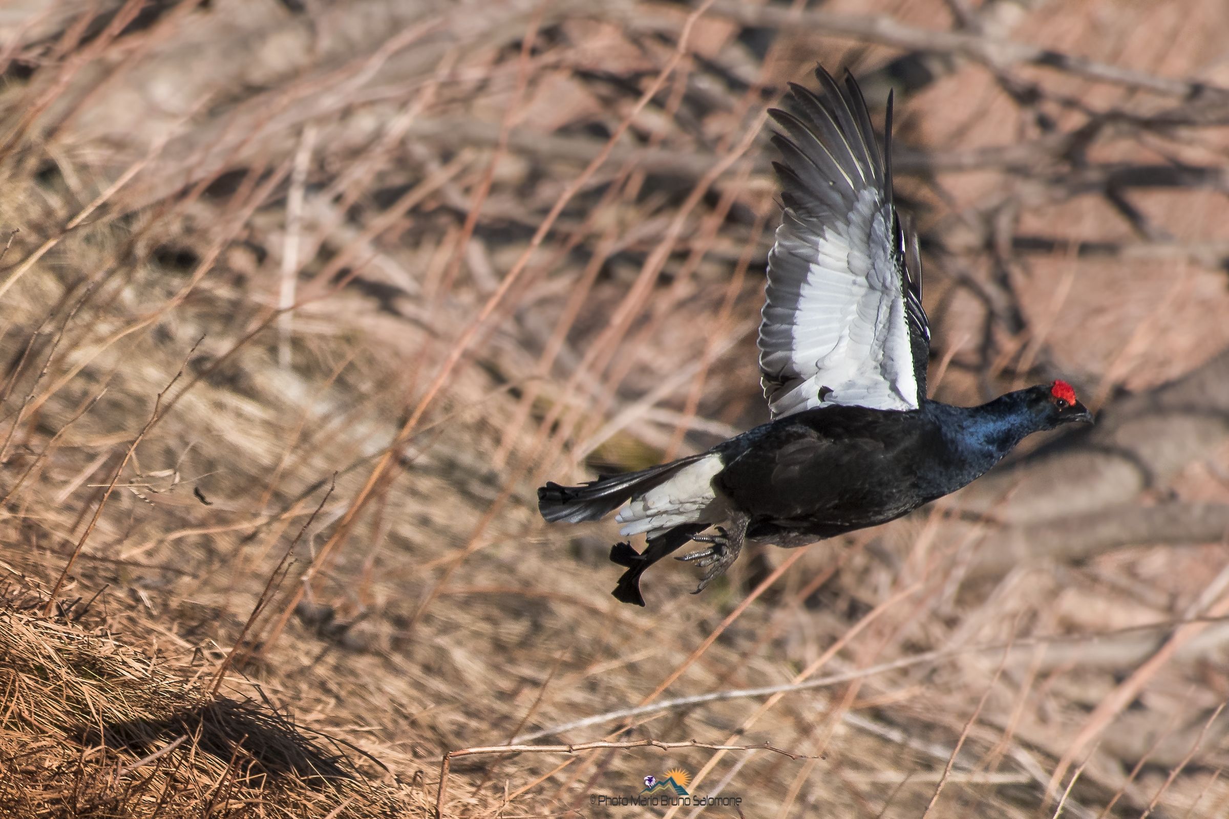 See you tomorrow....