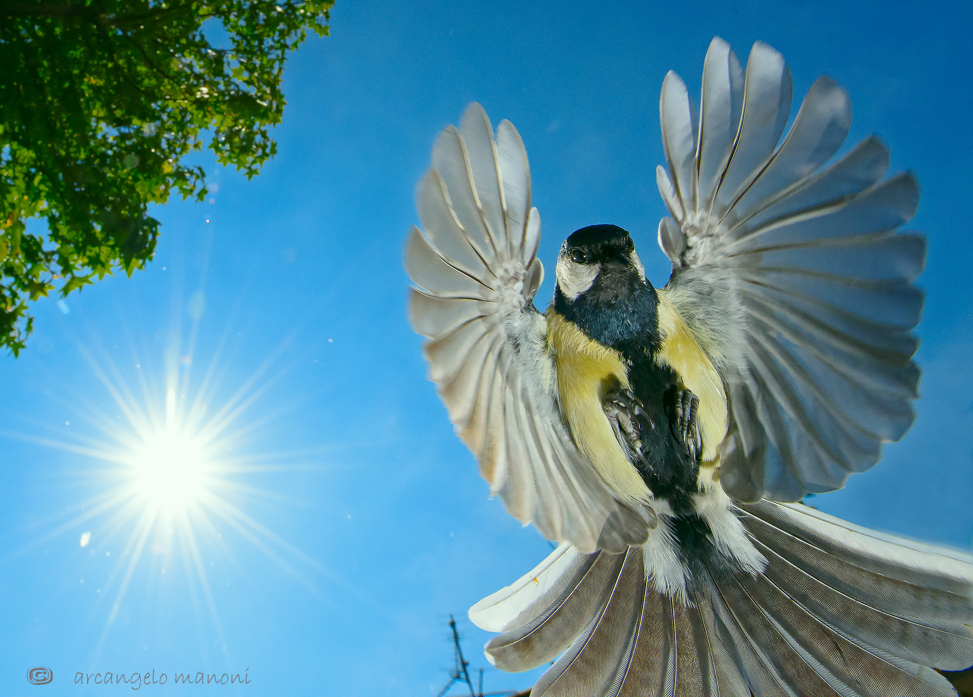 Una sorprendente apparizione