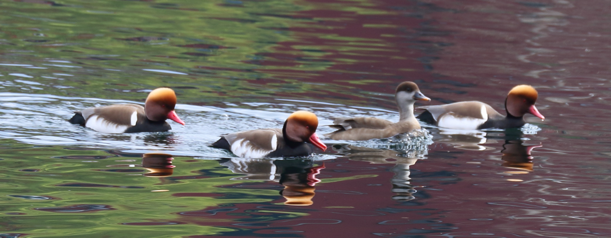 there is always a different!