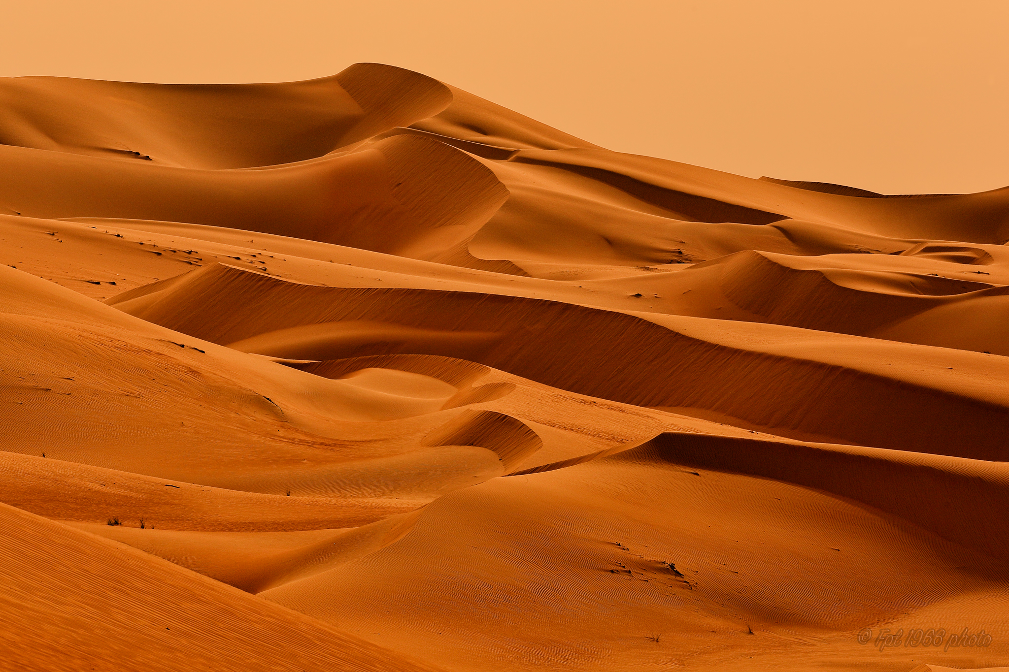 The Empty Quarter