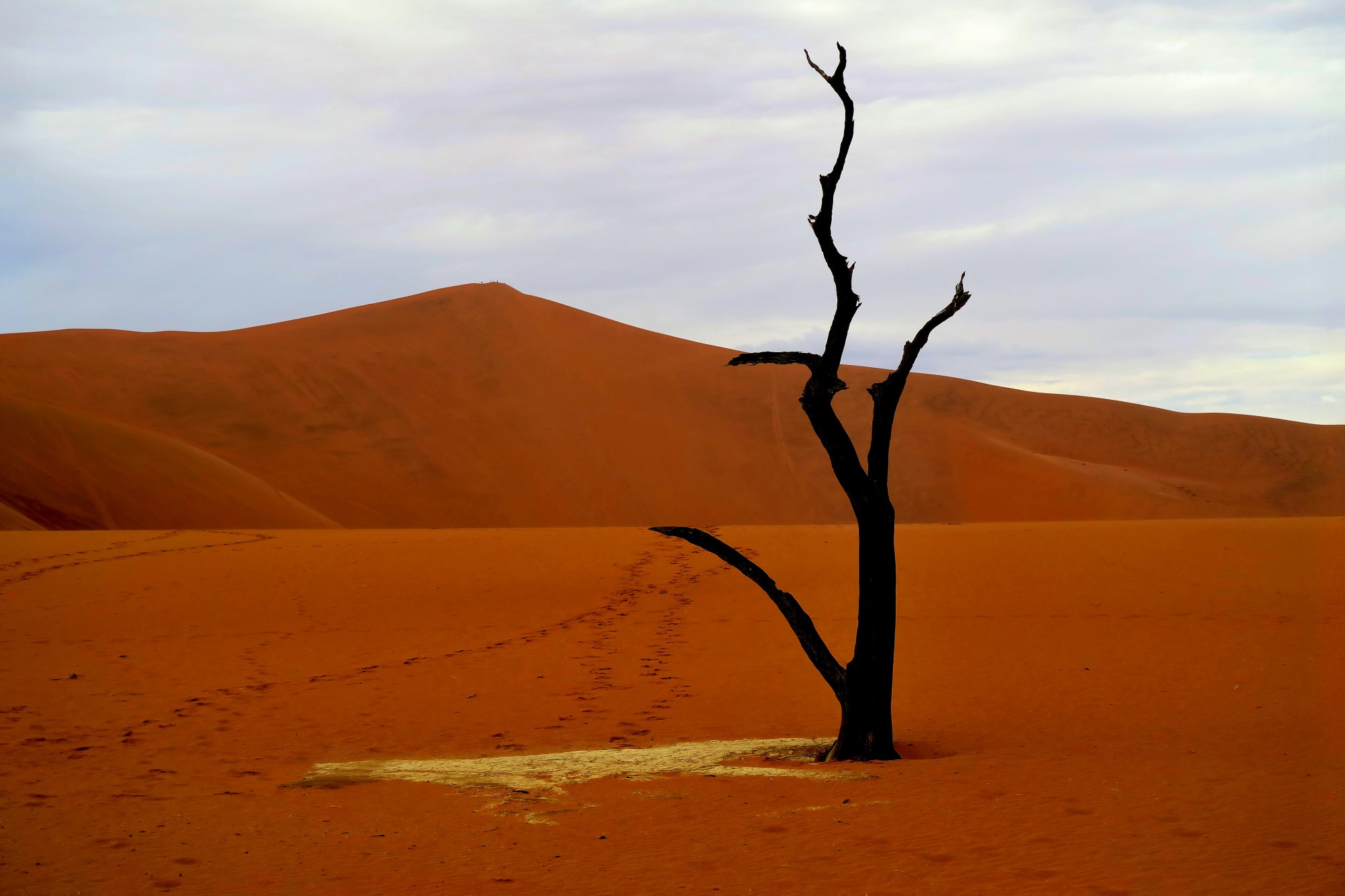 Namib desert - deadvlei