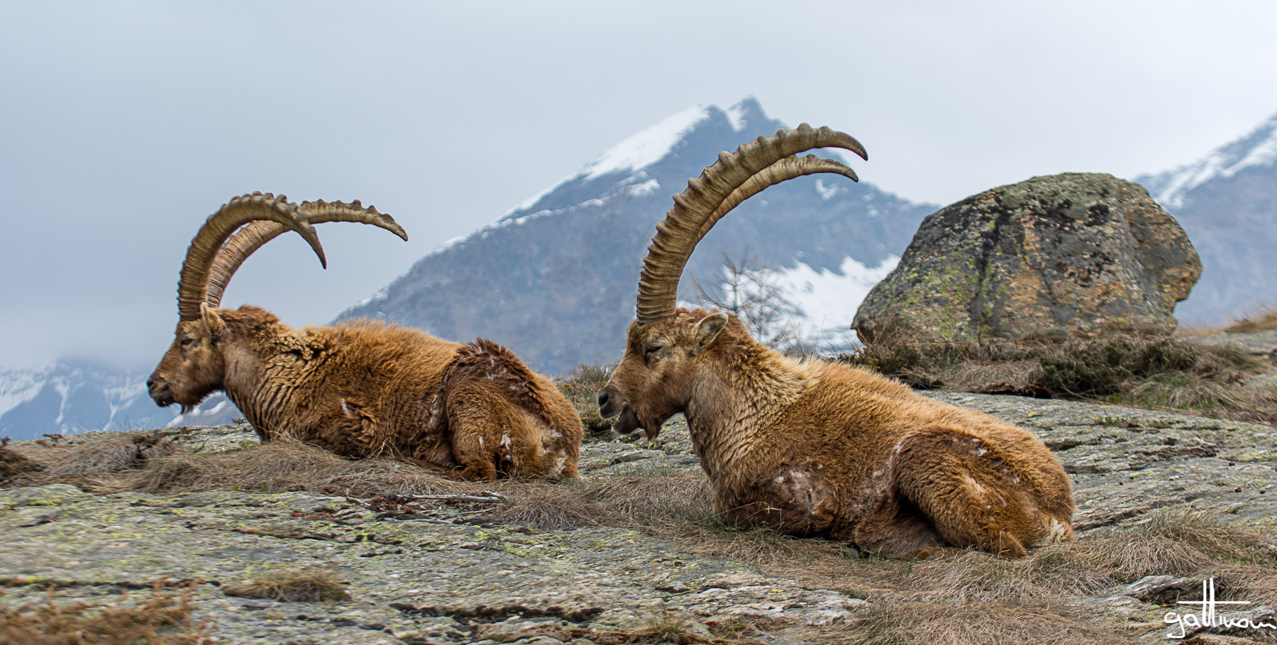 laughs best who laughs last