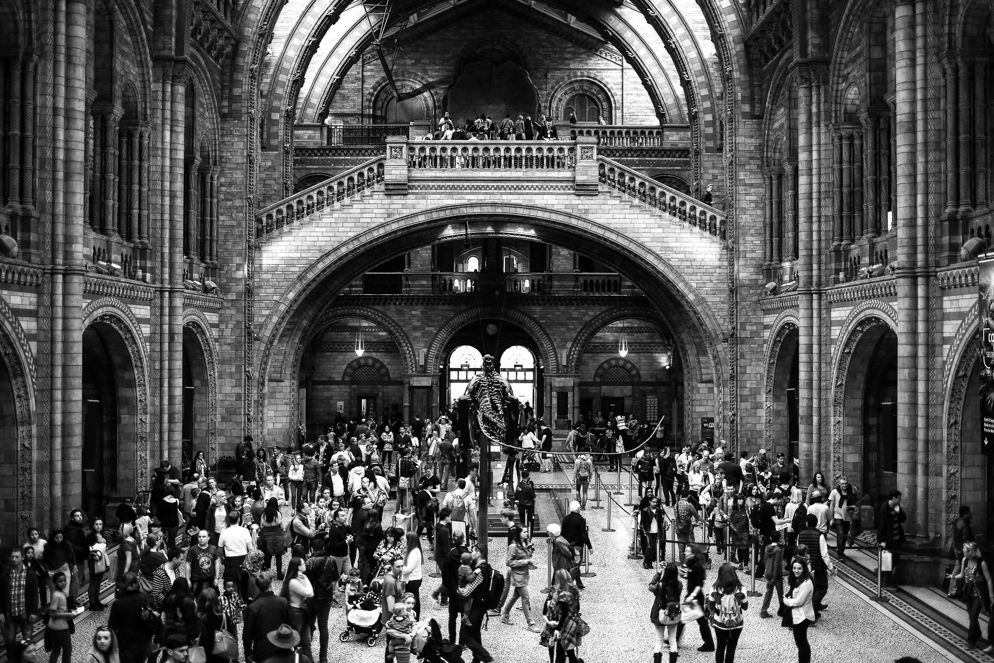 Natural History Museum