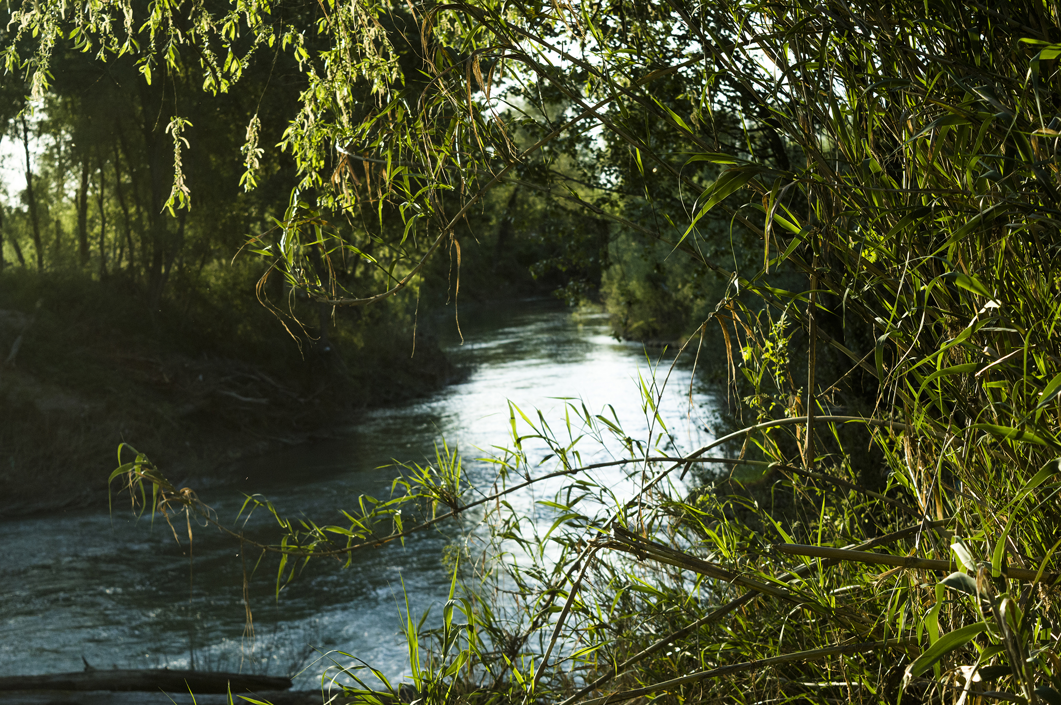 Scorcio Fiume Panaro