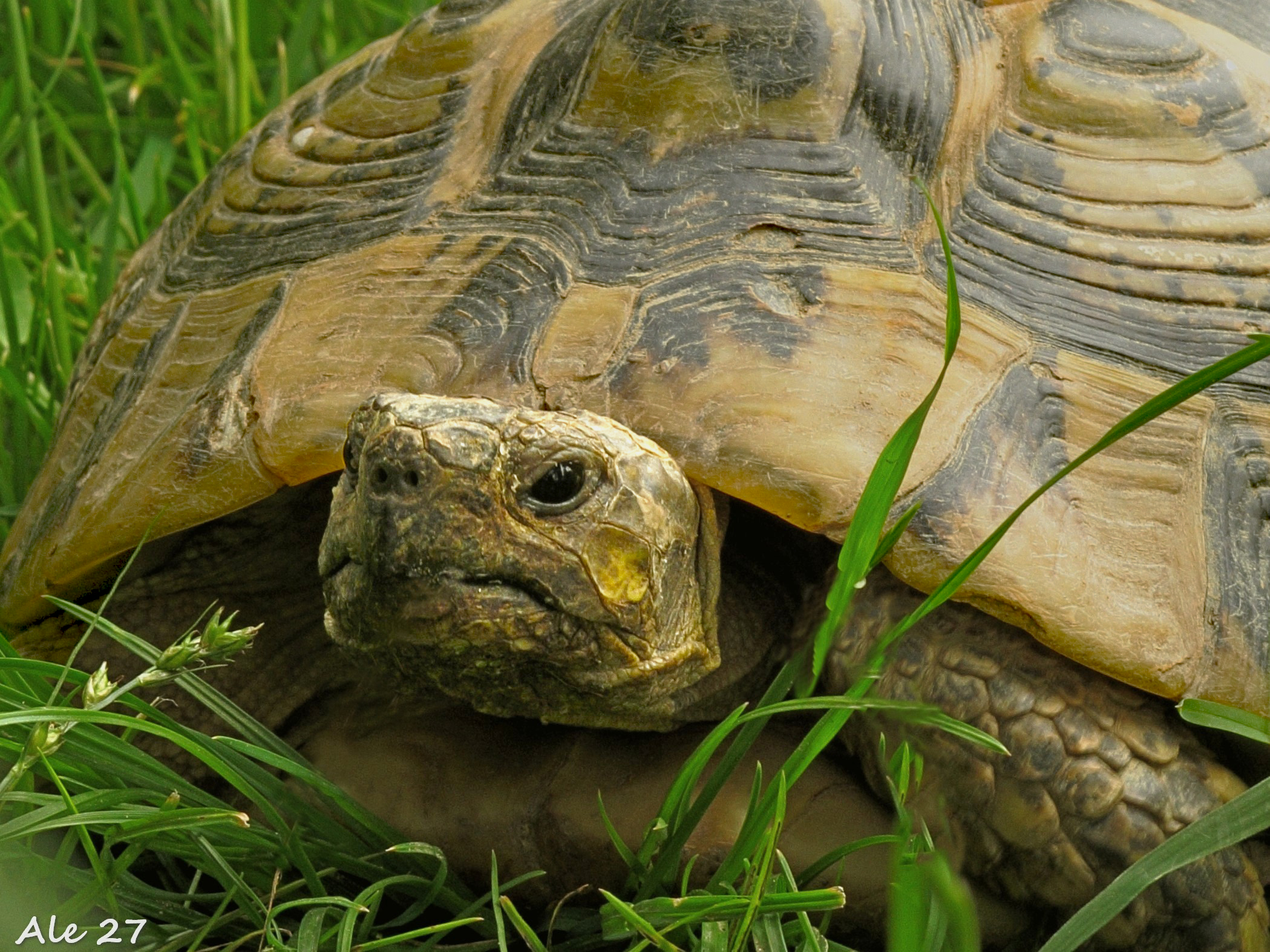 ... Going to her plan I find 'happiness ... (B. Lightman...