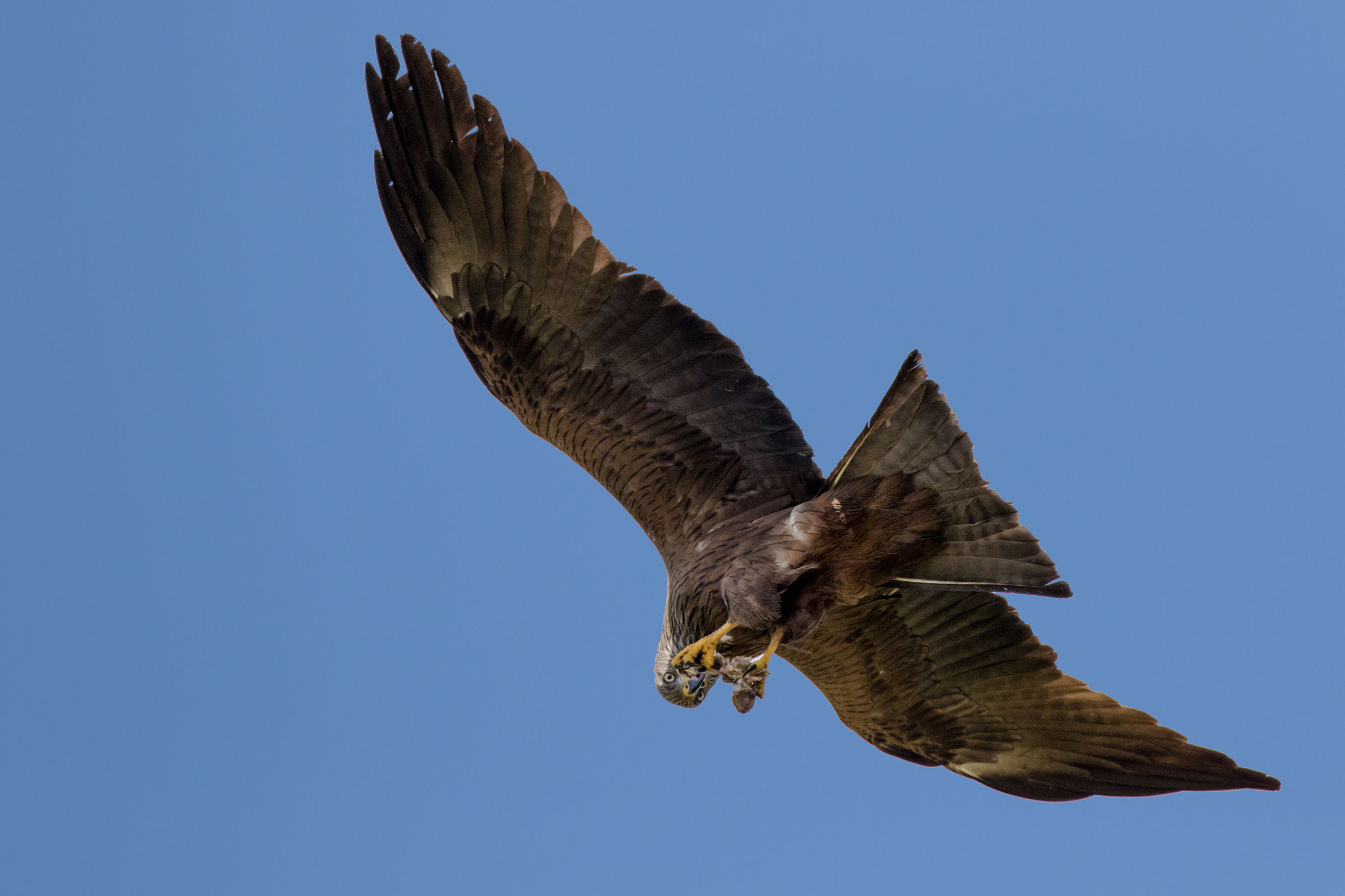 What are you looking at?