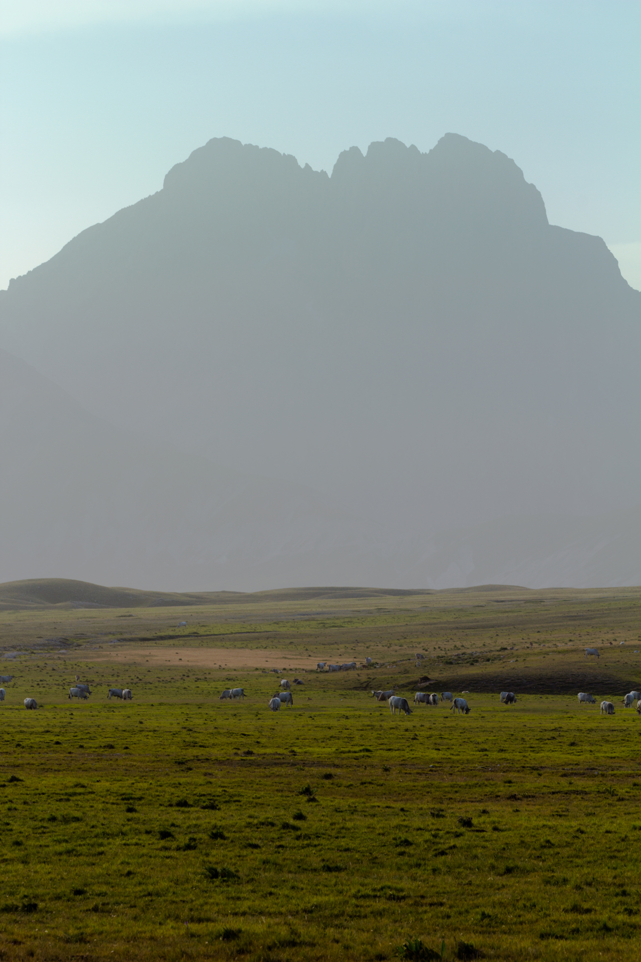 Grazing under the Gransasso