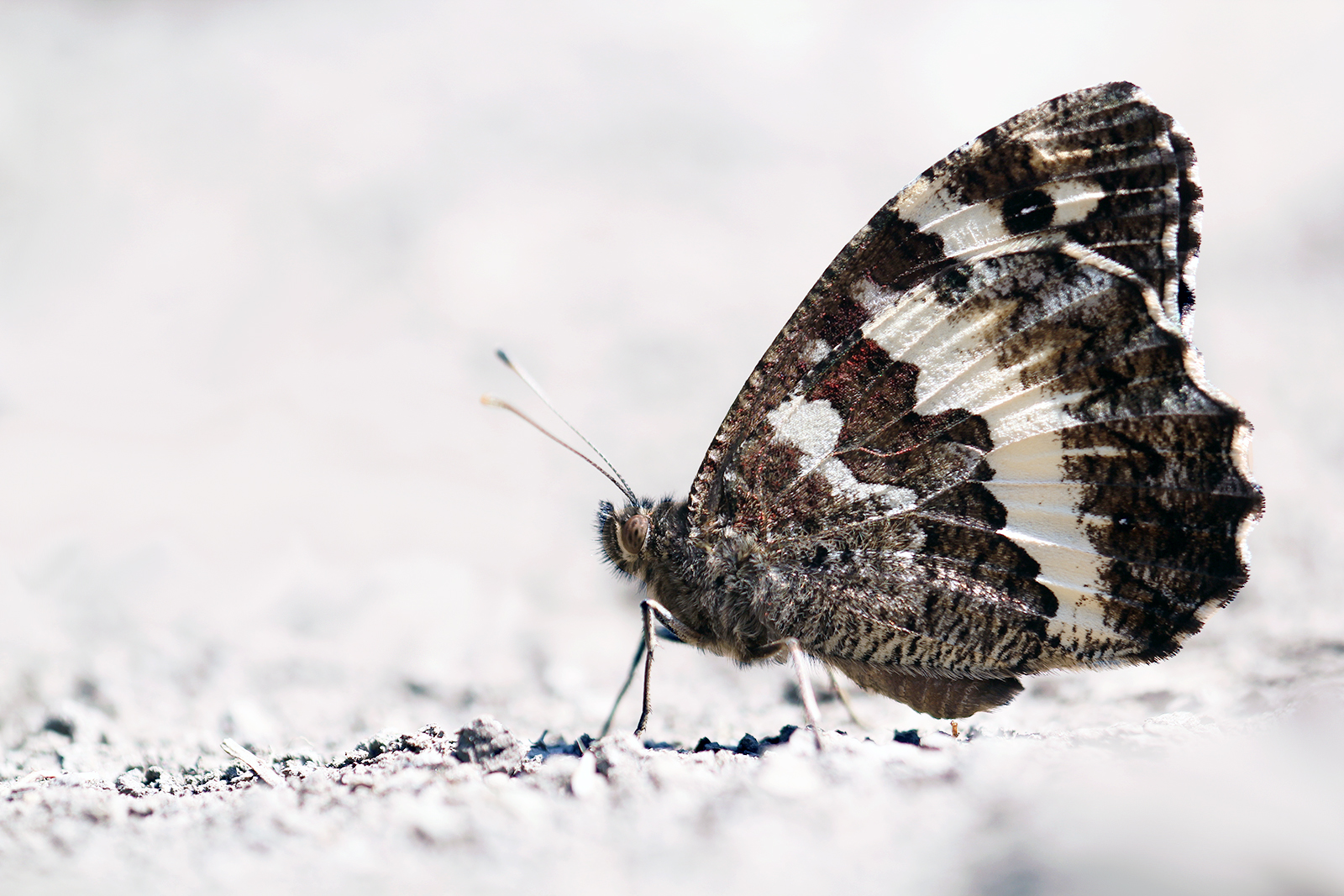 Abundance of emptiness