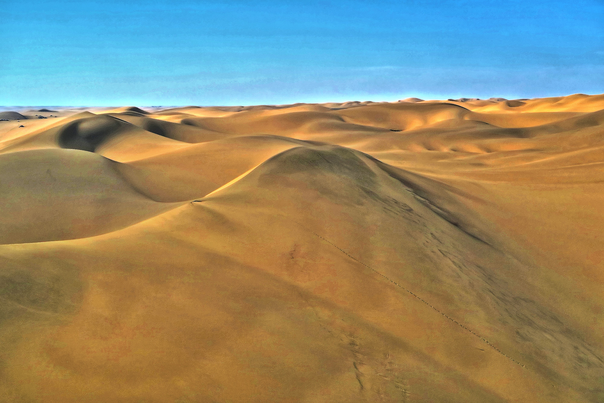 namib naukluft park - sandwich harbour