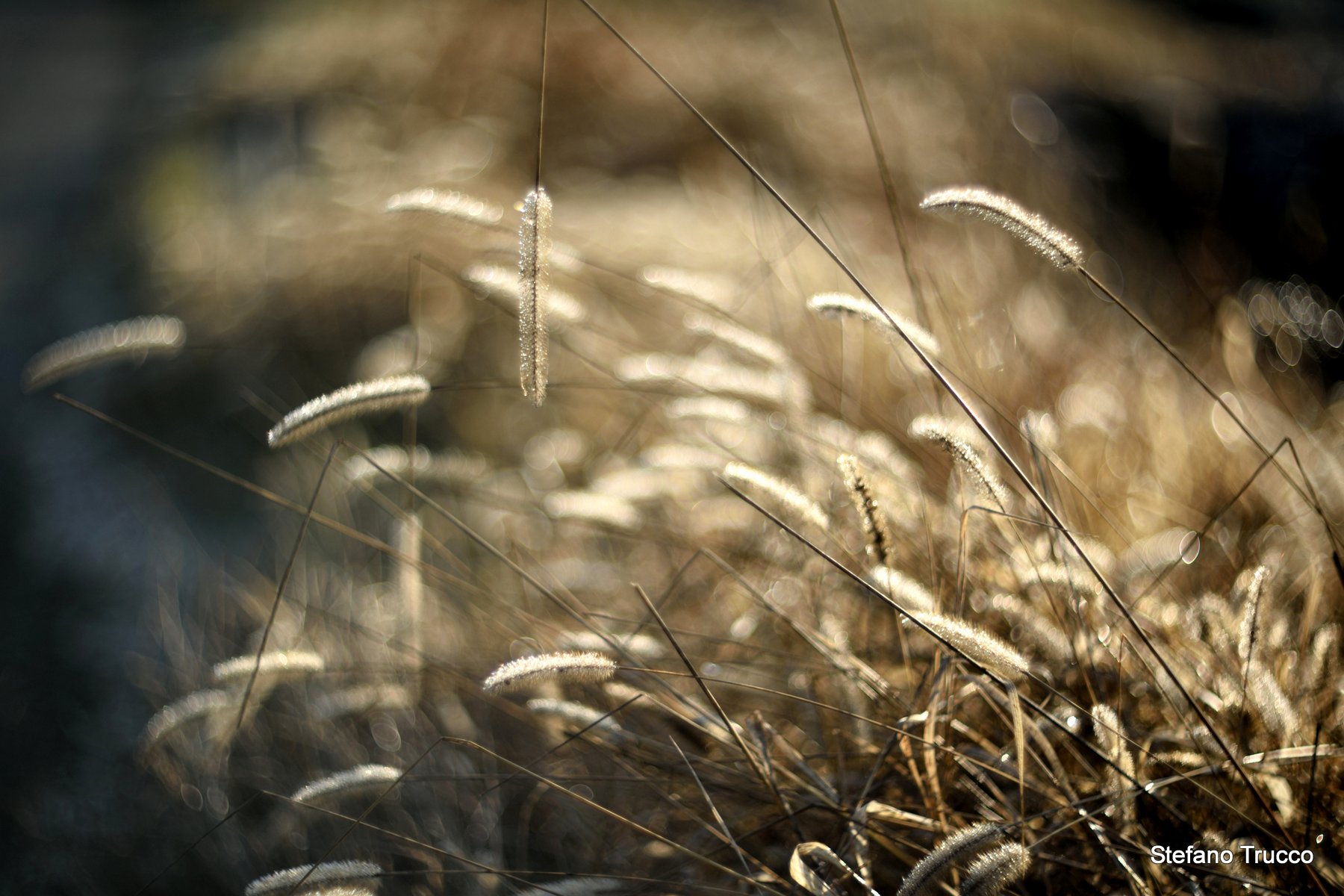 Waiting for the rain