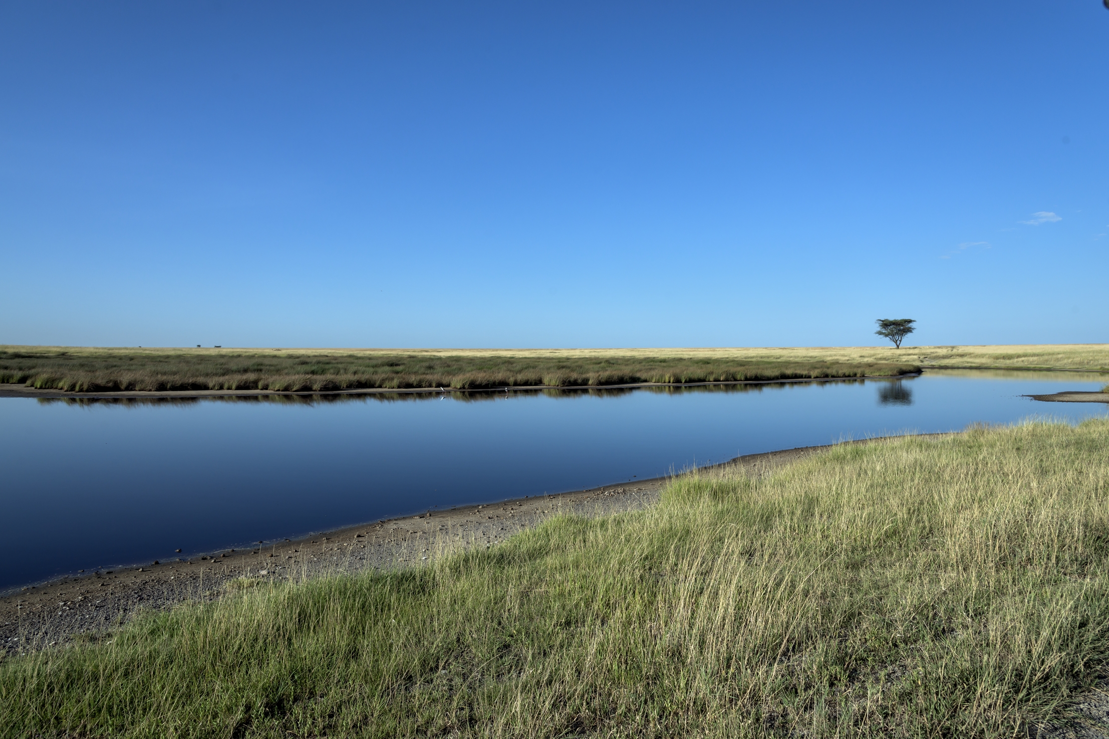 Tanzania 2016 - Pozza nel Serengeti