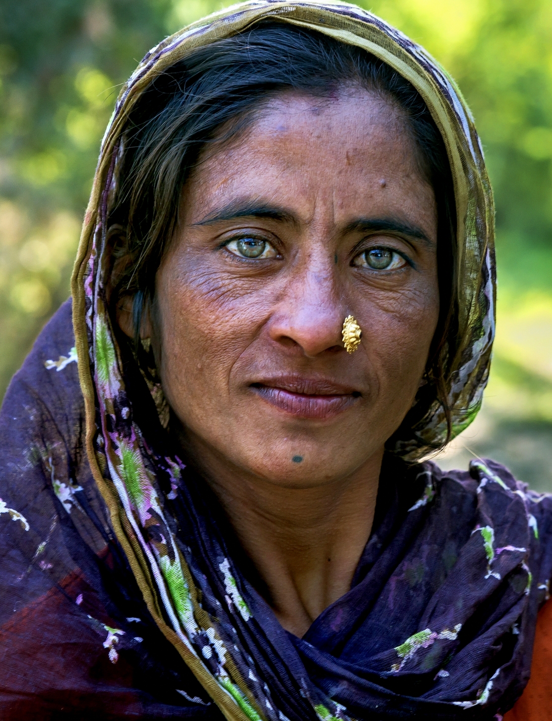 Gujarat 2015 - Nomad