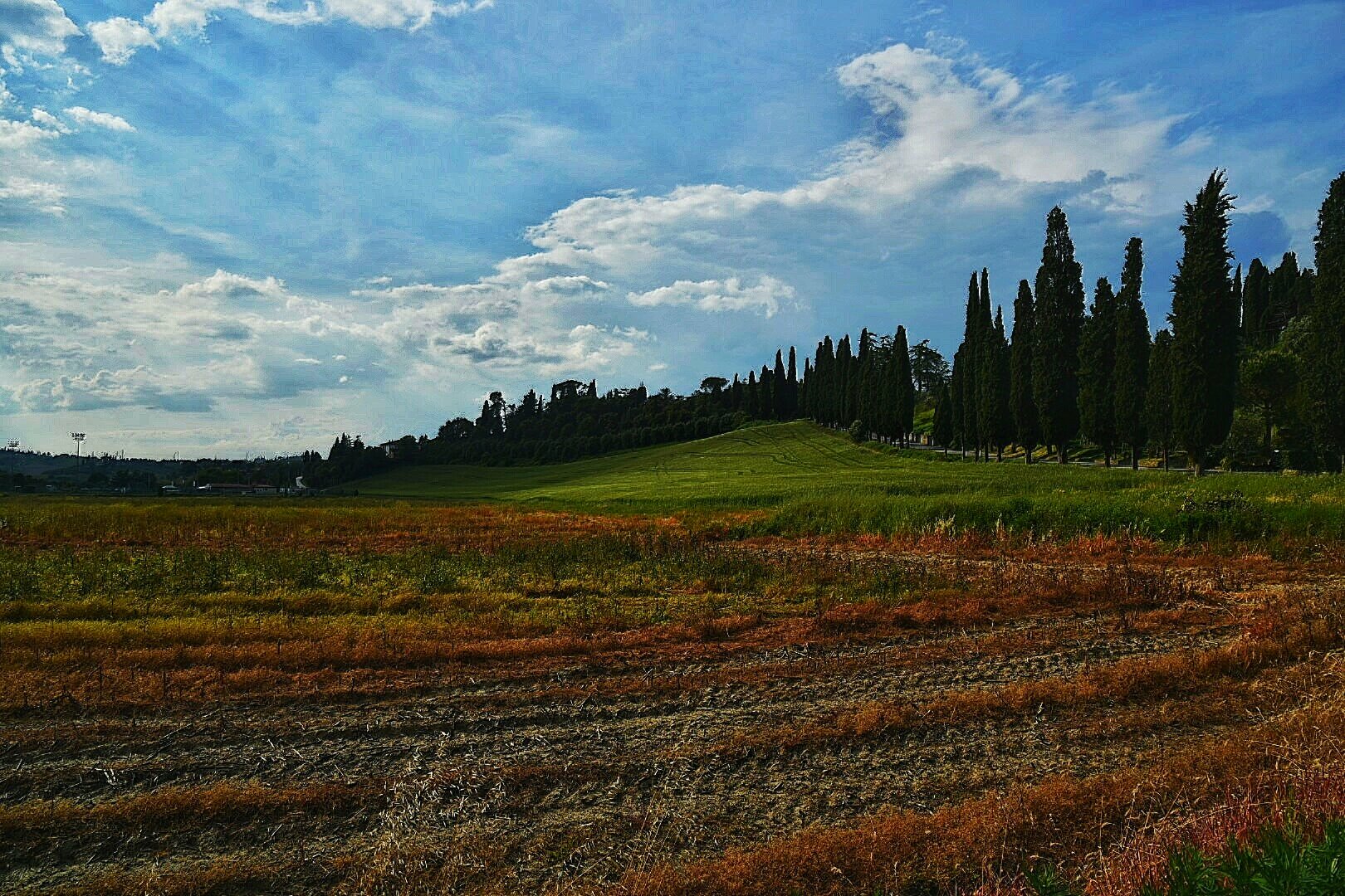 La morbidezza delle forme e dei colori.