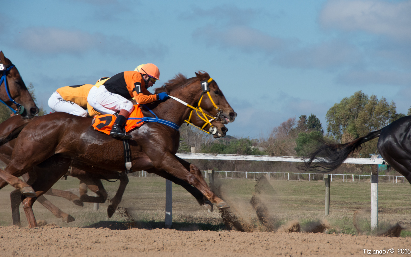 Hipodromo San Felix Paysandu'