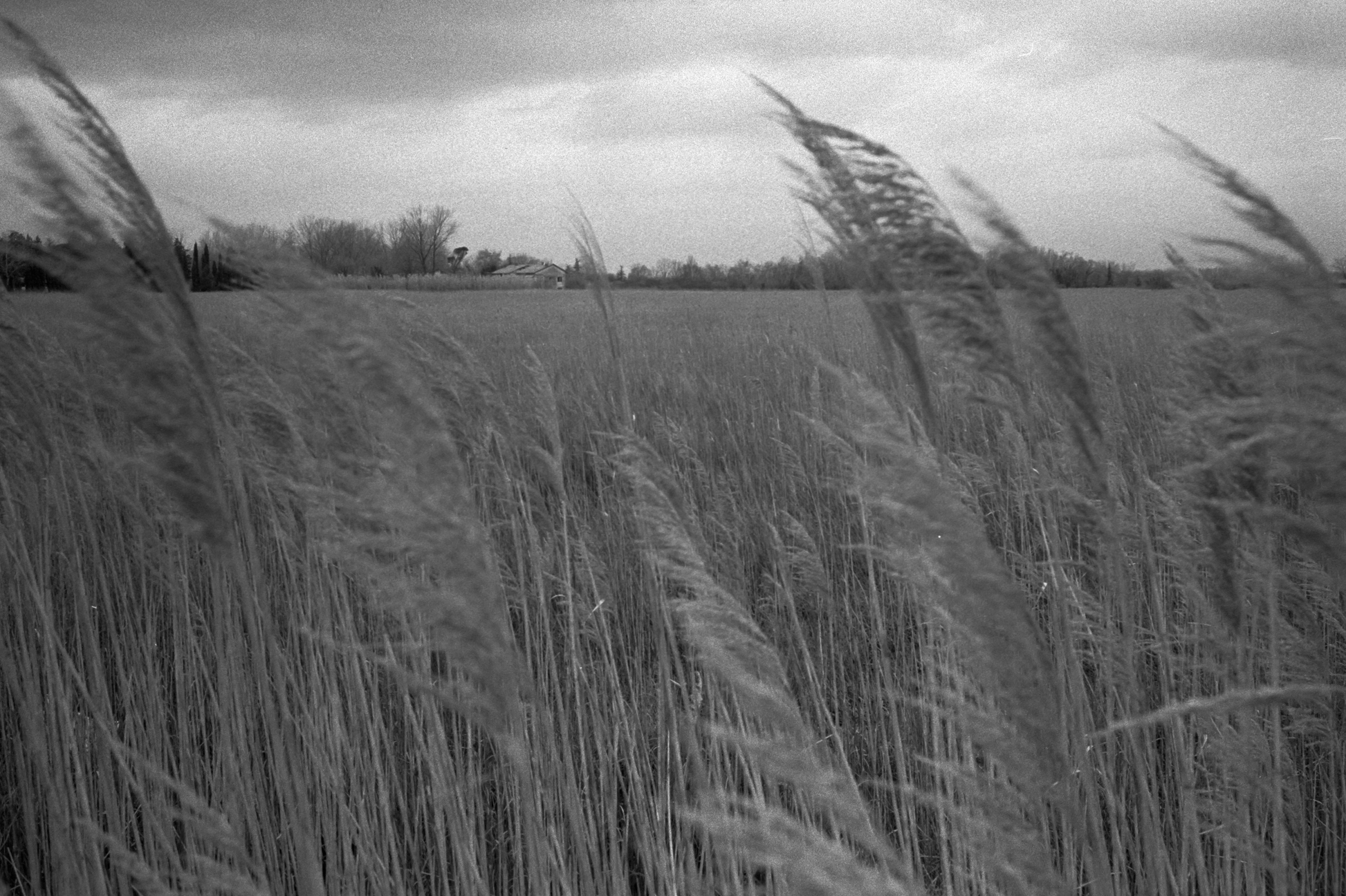 Al confine dell'Area X