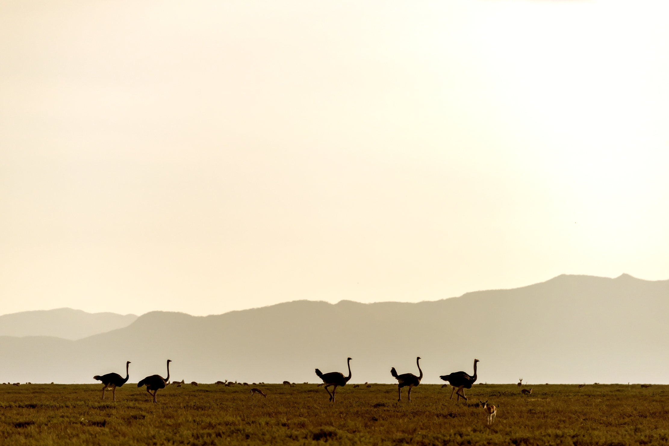 Tanzania 2016 - In fila