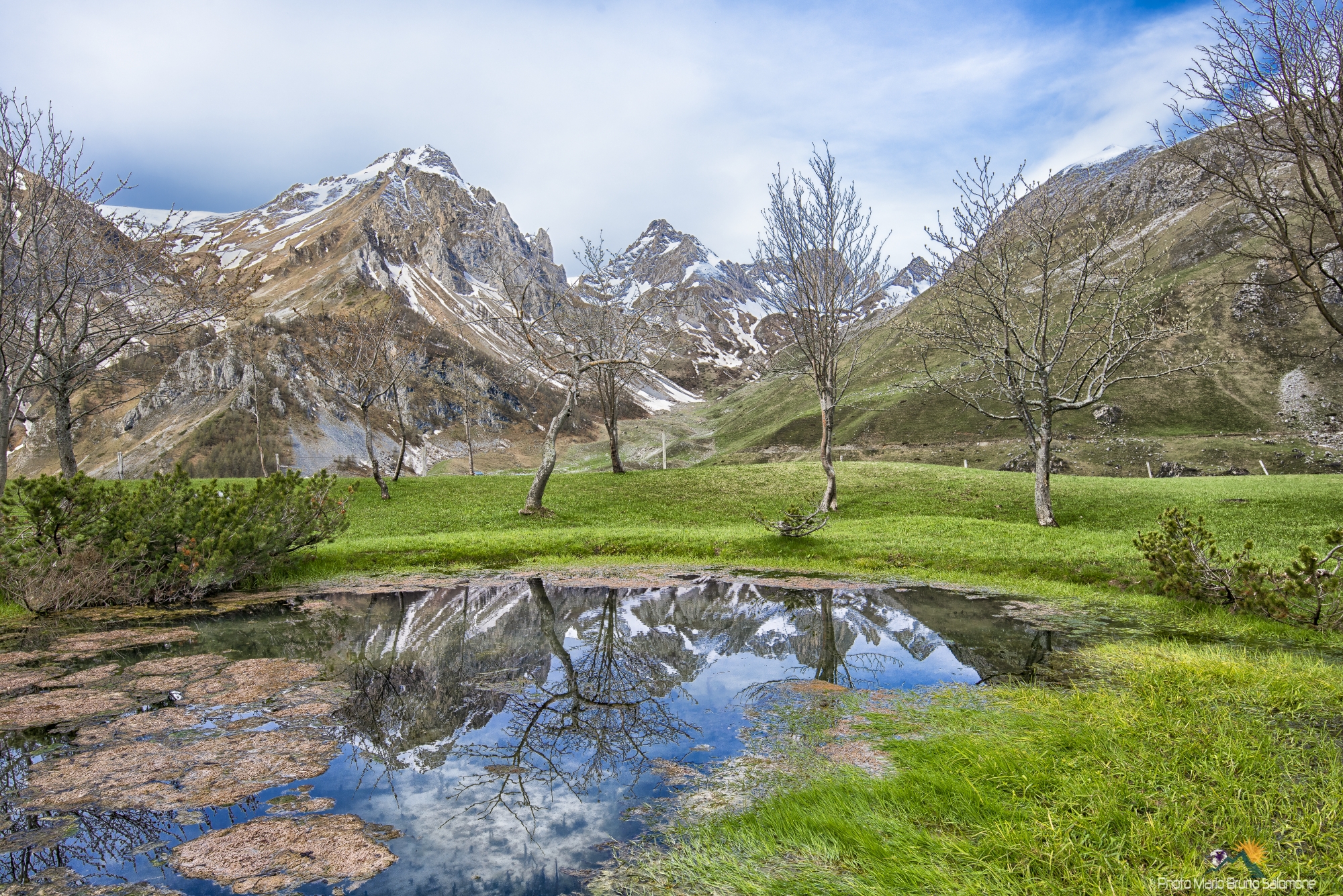 The mirror, between winter and spring.