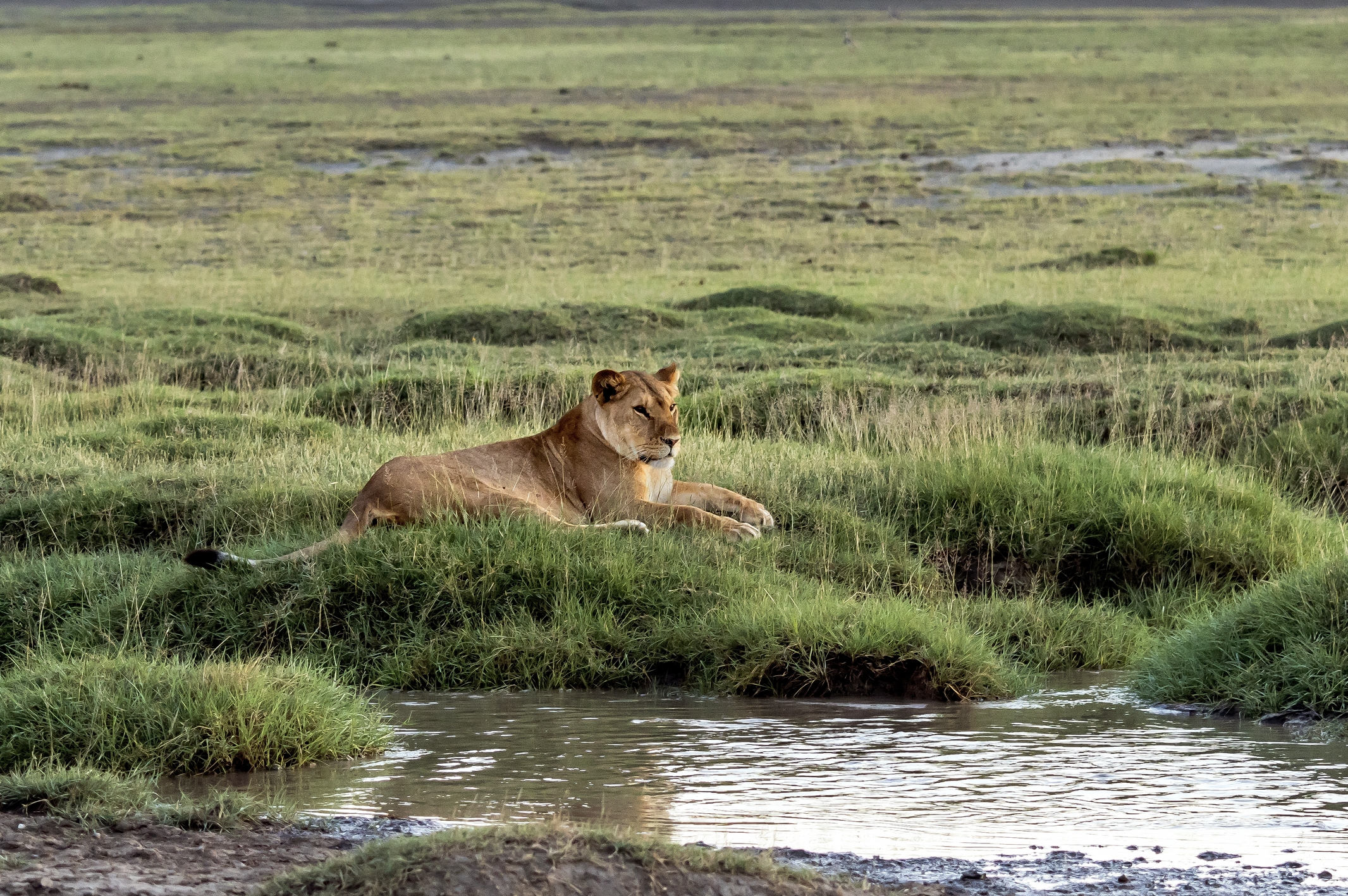 Tanzania 2016 - Sul far della sera