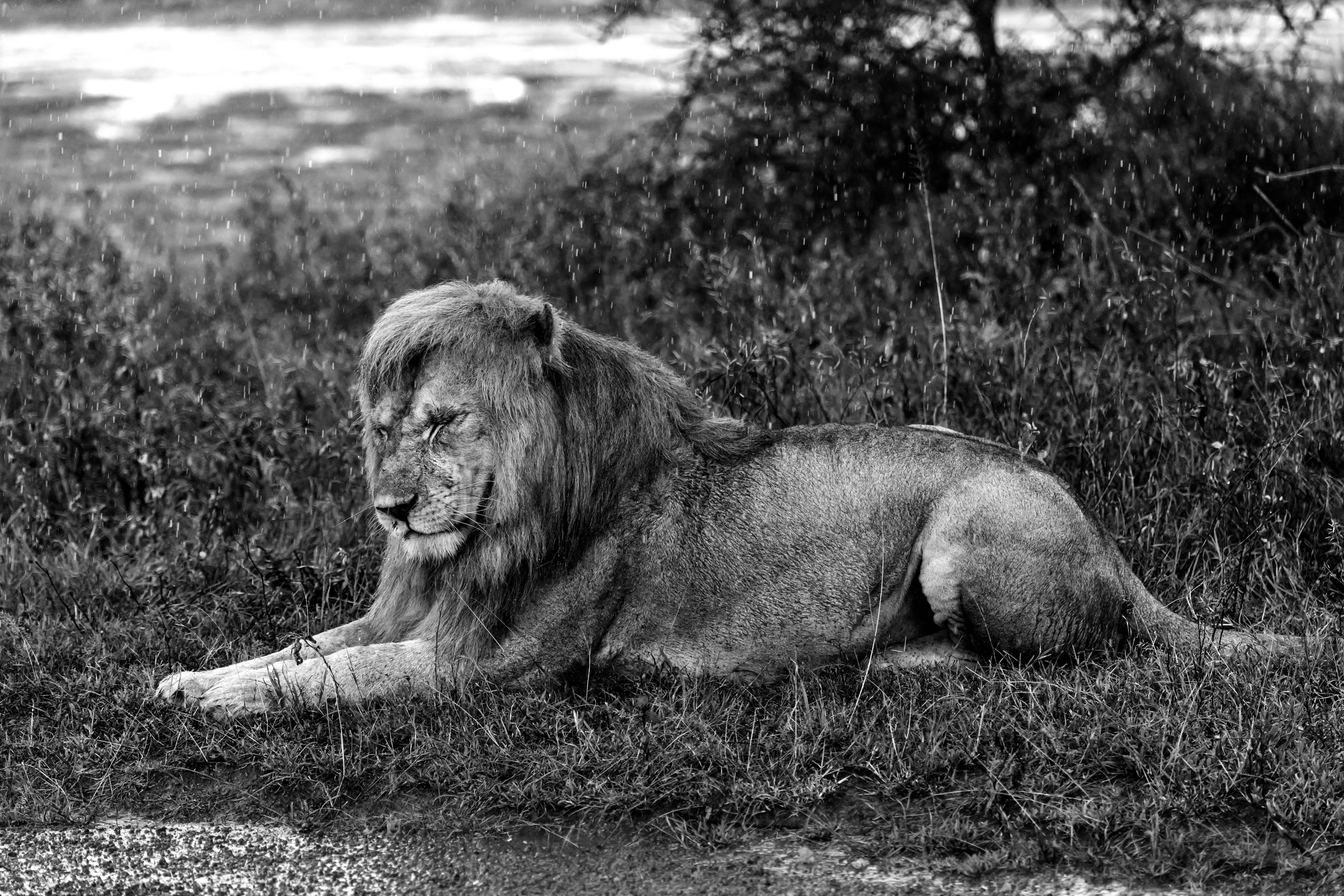 Tanzania 2016 - Acquazzone