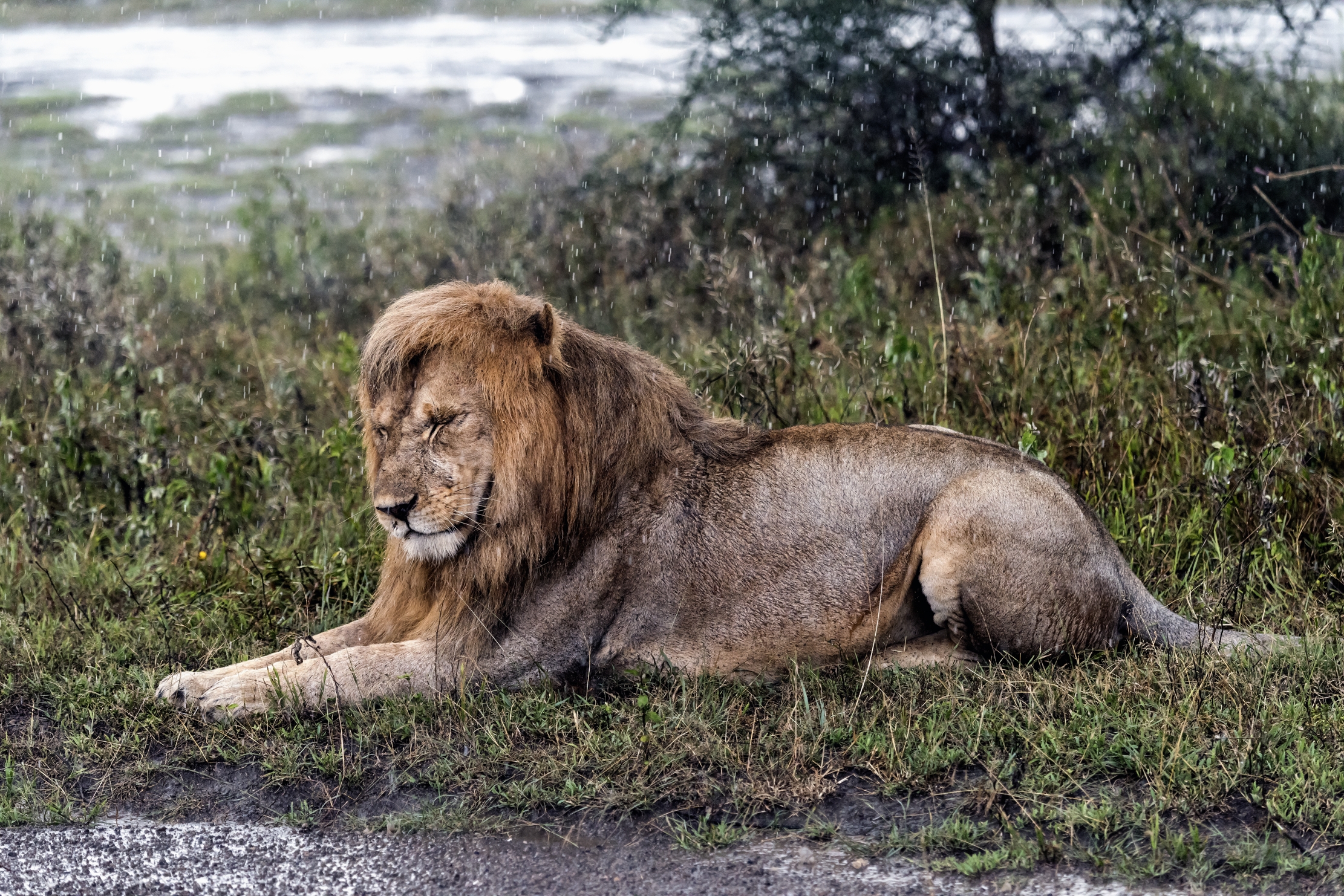 Tanzania 2016 - Acquazzone