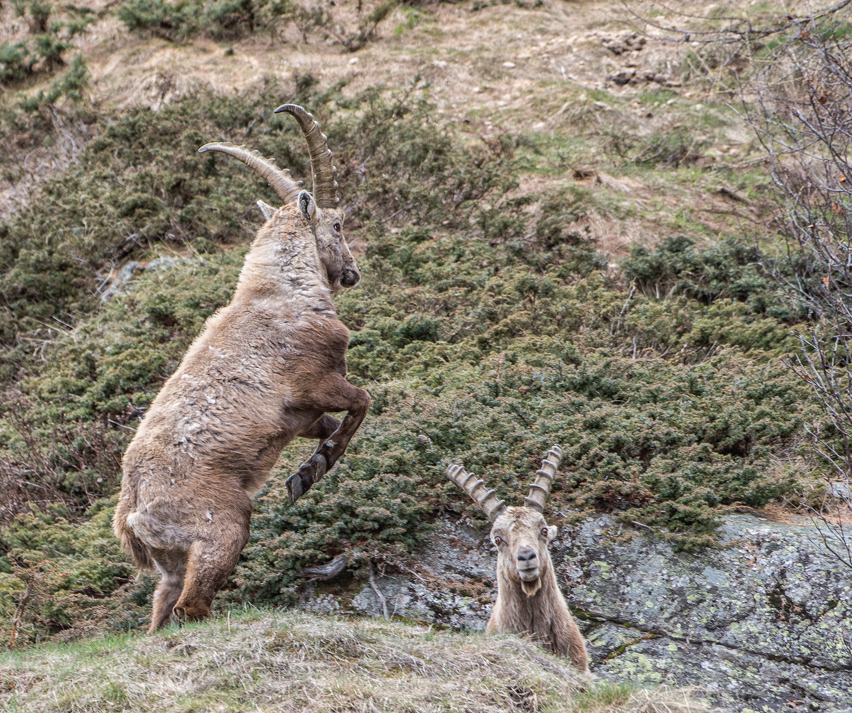 Visto che con le buone non te ne vai...