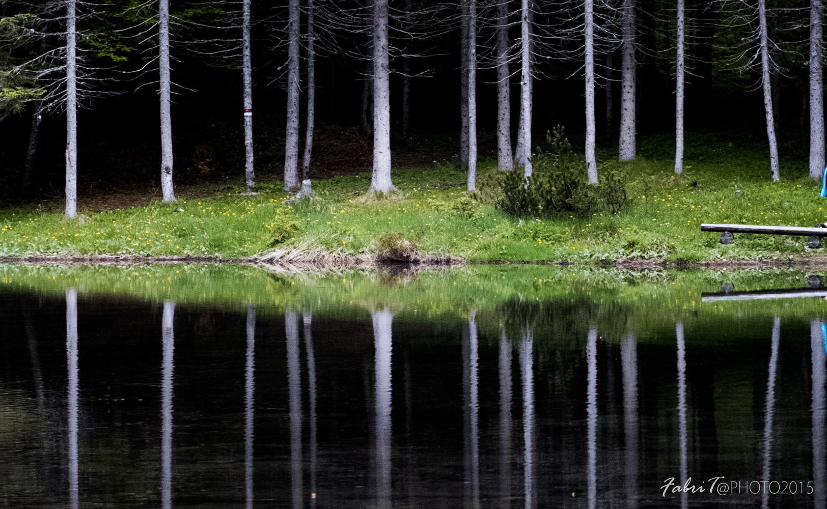 la gabbia dell'anima
