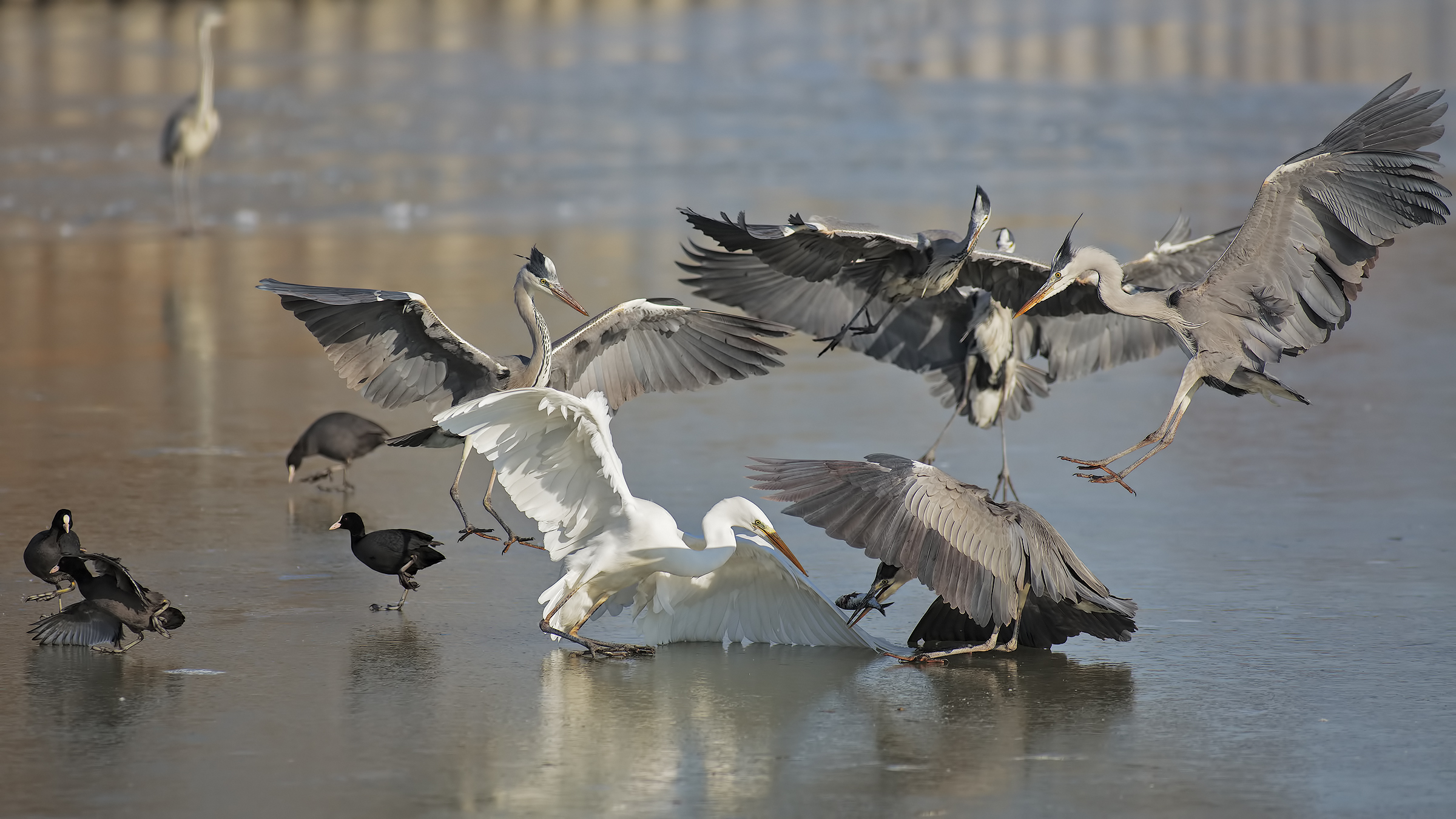 when it was really cold