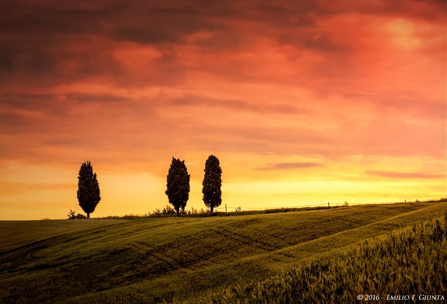 Three for a magical dawn