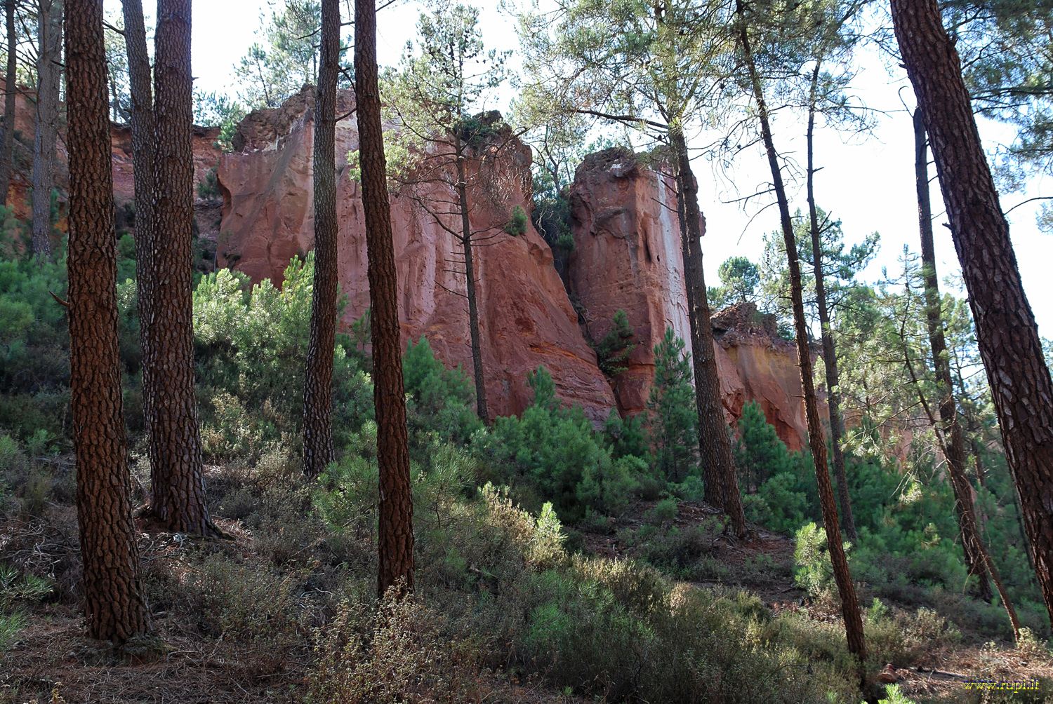 Roussillon: il sentiero delle ocre - 6
