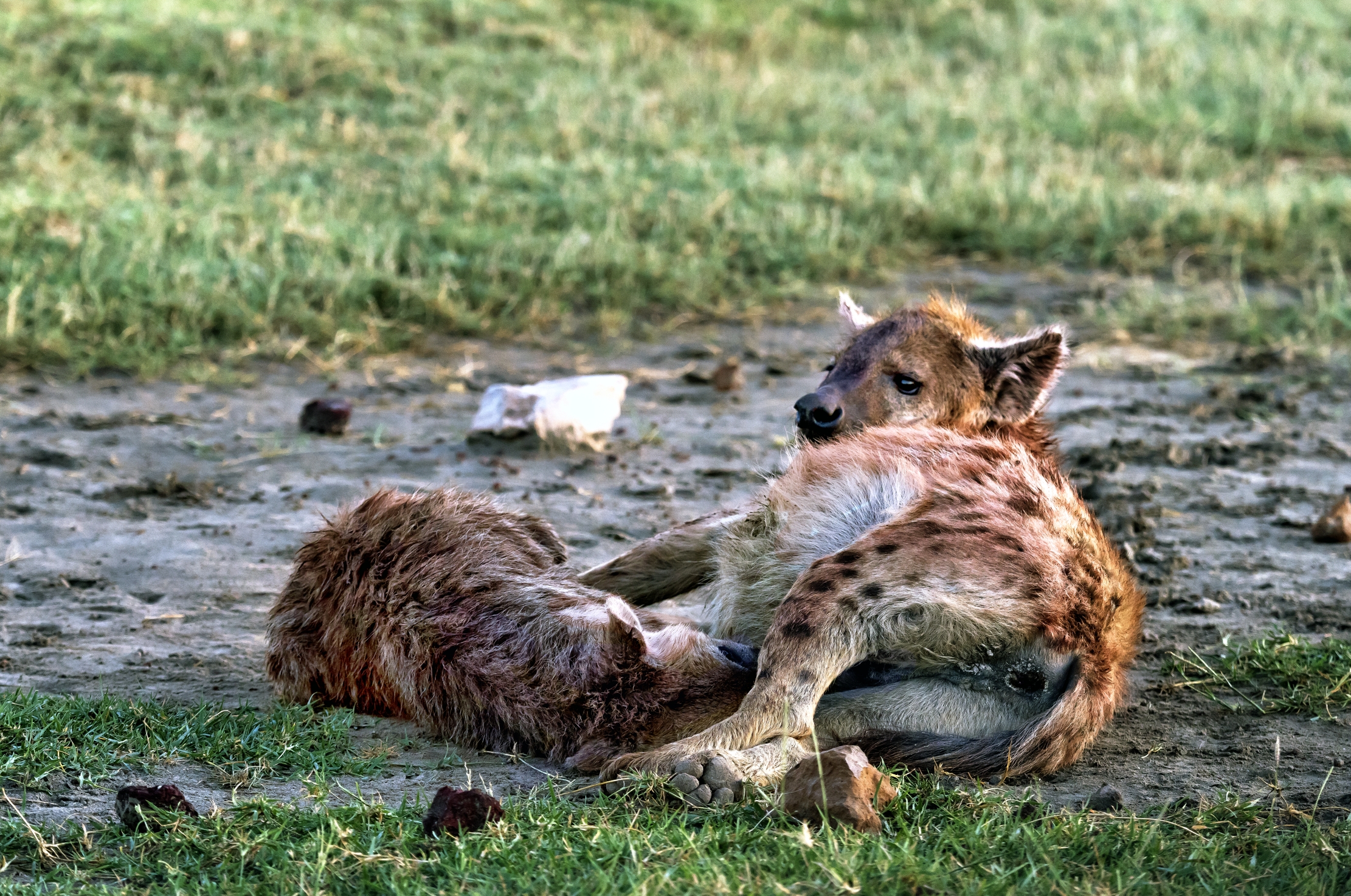 Tanzania 2016 - Iene