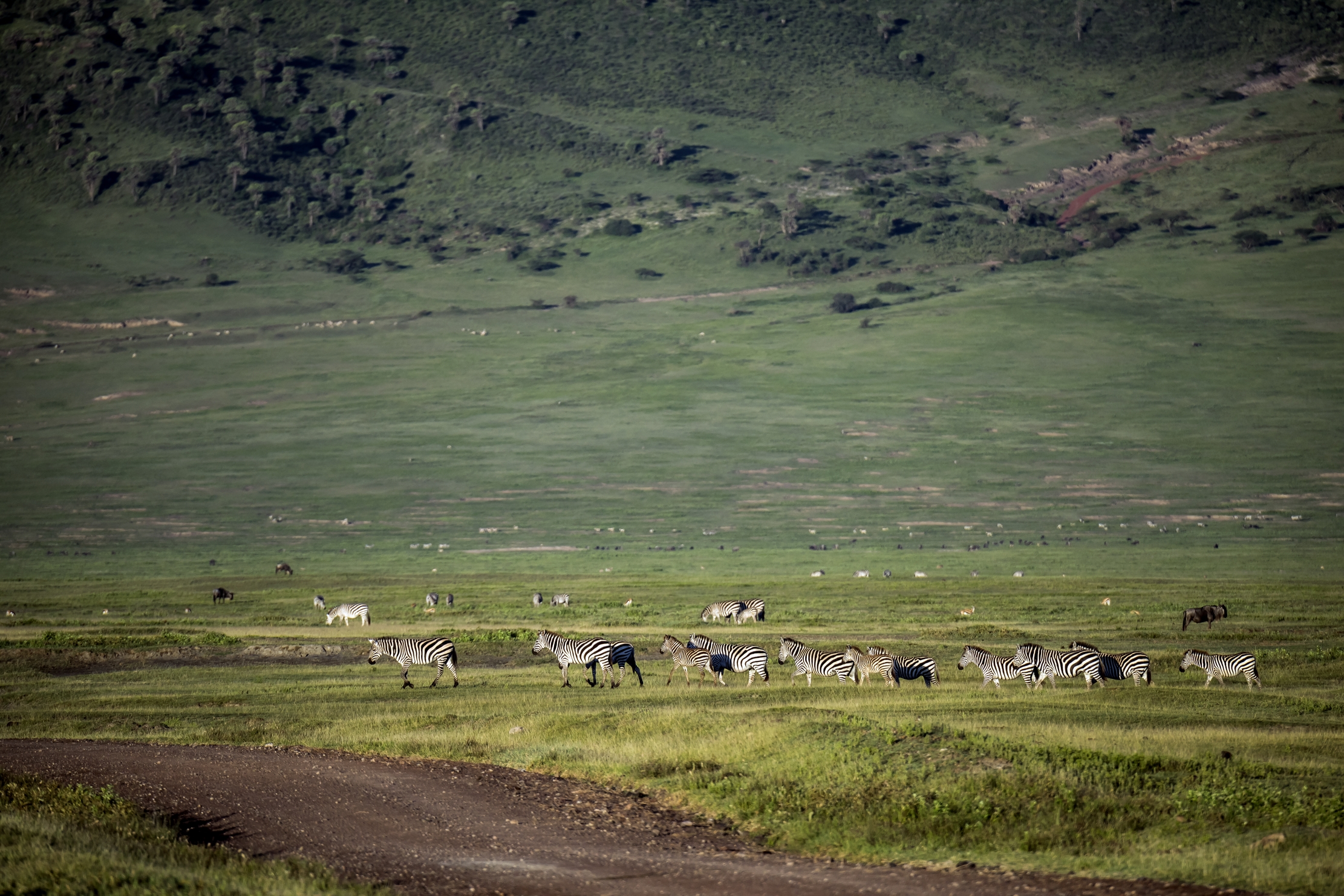 Tanzania 2016 - Ngorongoro Crater