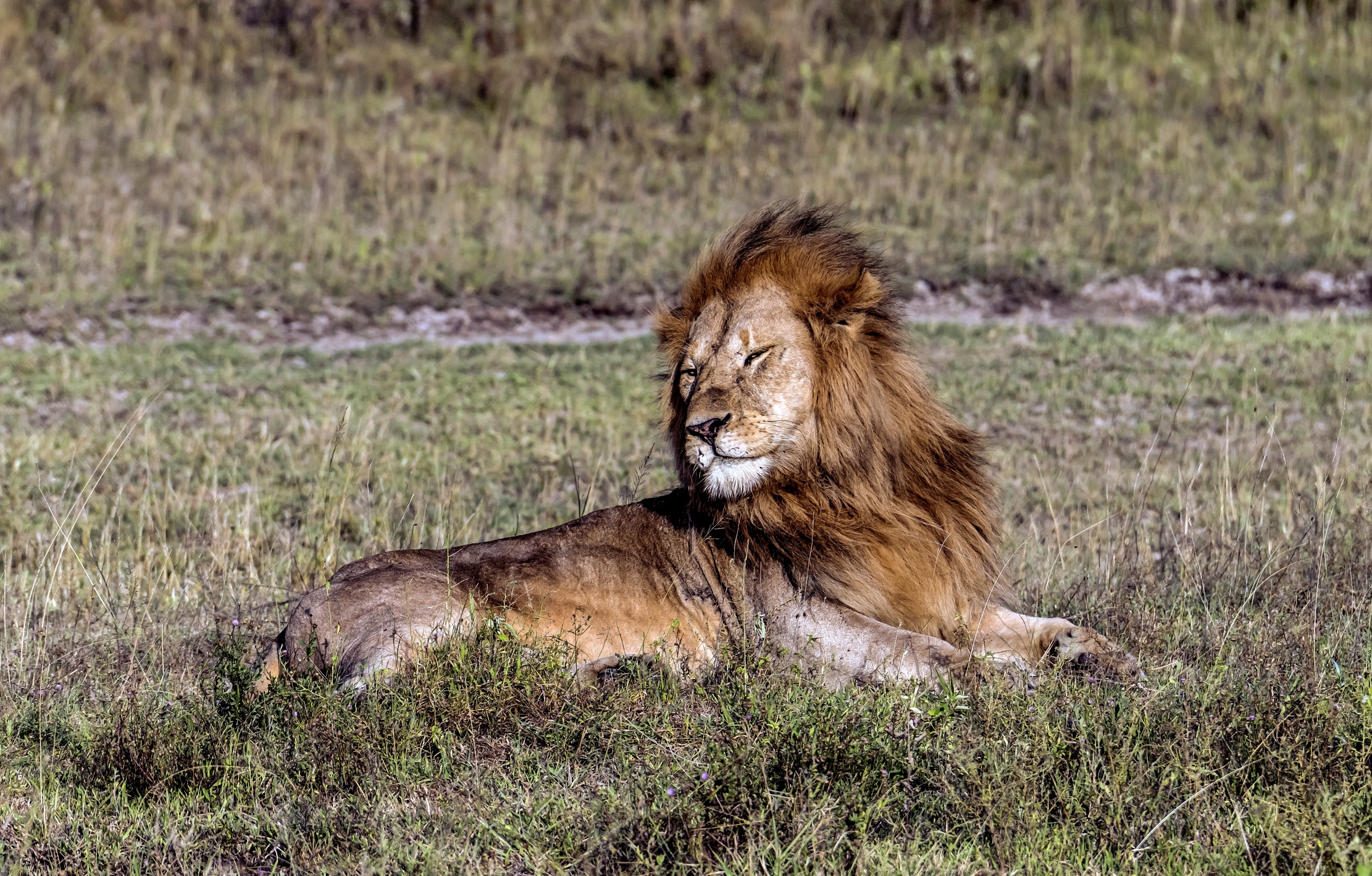 Tanzania 2016 - Al sole